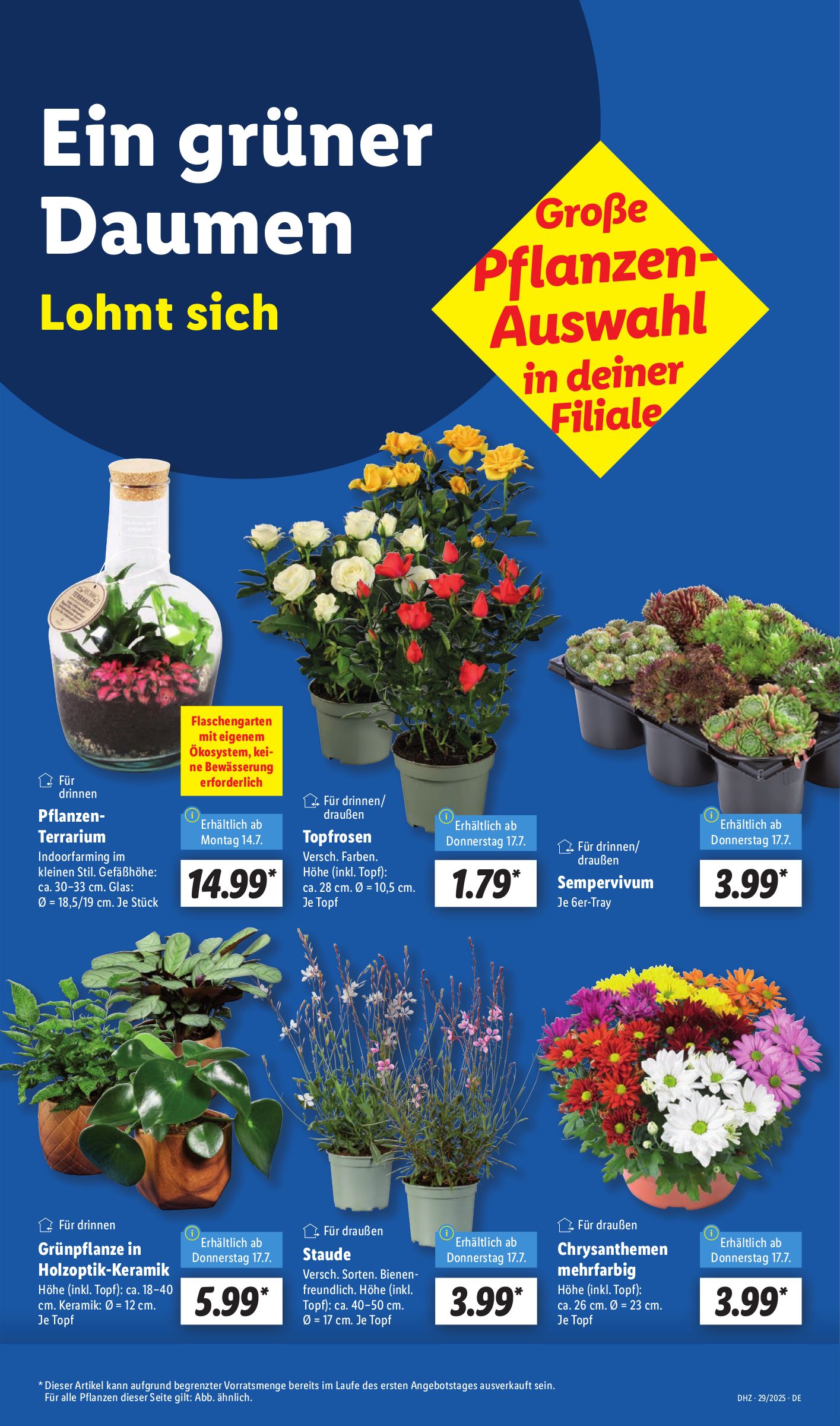 lidl - Lidl-Prospekt gültig vom 14.07. bis 19.07. - page: 17 lidl - Lidl-Prospekt gültig vom 14.07. bis 19.07. - page: 17