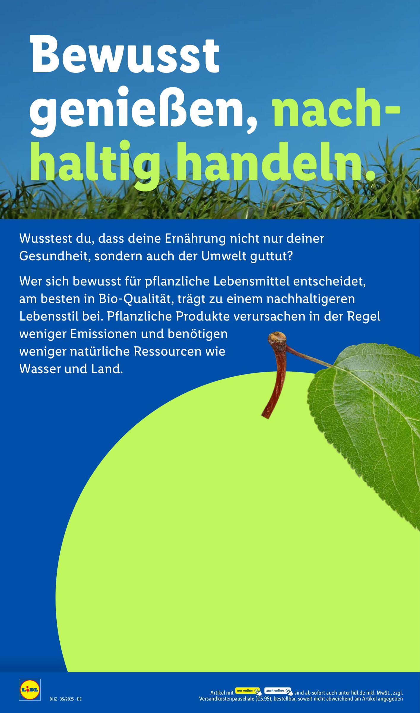 lidl - Lidl-Prospekt gültig vom 25.08. bis 30.08. - page: 26 lidl - Lidl-Prospekt gültig vom 25.08. bis 30.08. - page: 26