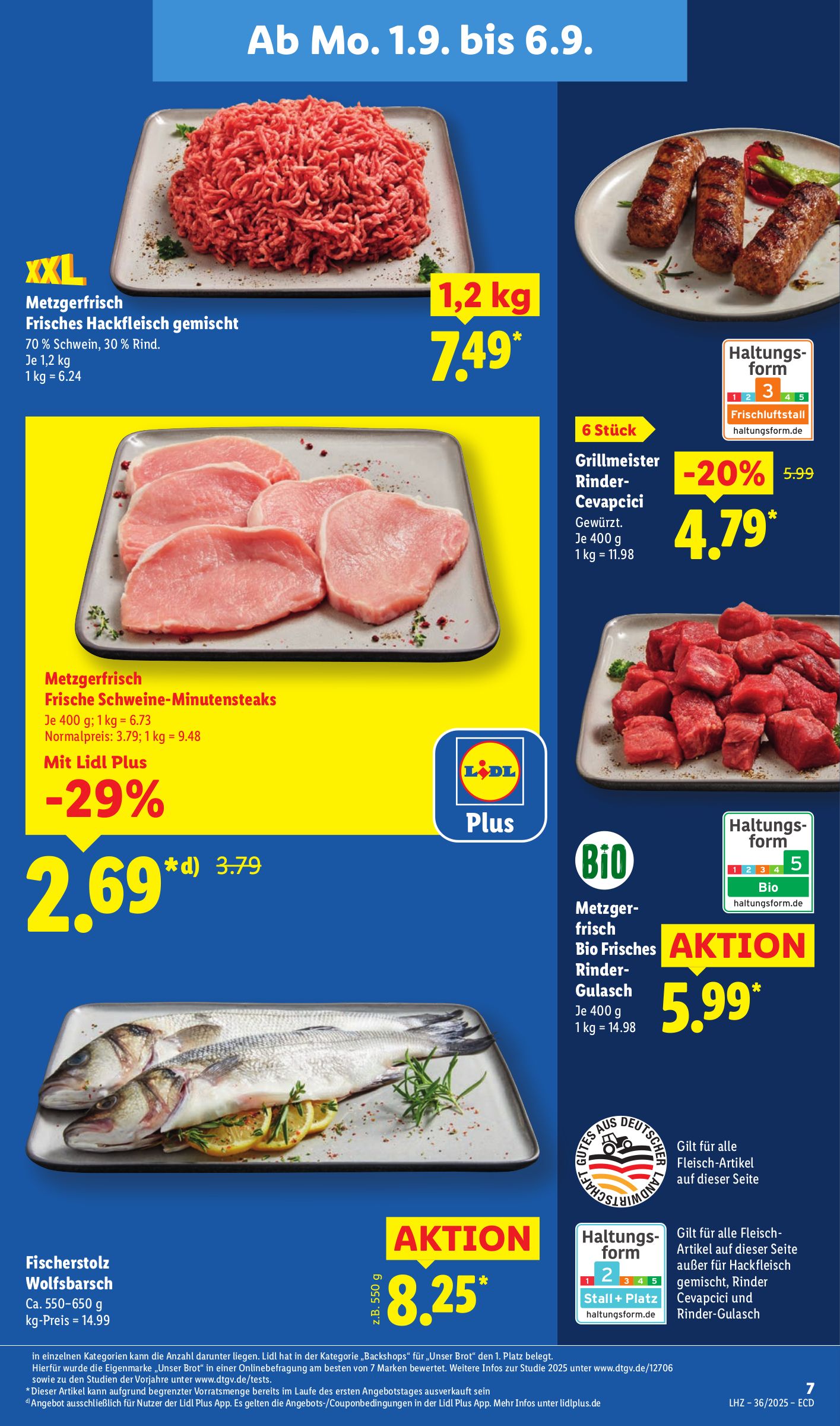 lidl - Lidl-Prospekt gültig vom 01.09. bis 06.09. - page: 13 lidl - Lidl-Prospekt gültig vom 01.09. bis 06.09. - page: 13