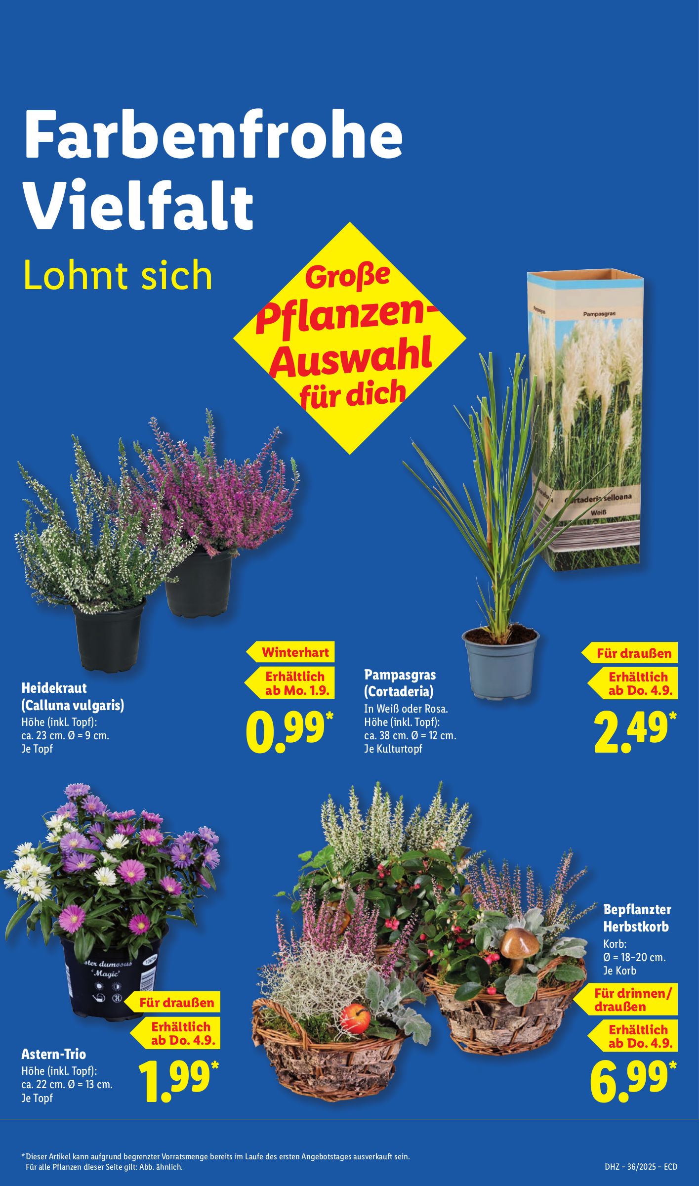 lidl - Lidl-Prospekt gültig vom 01.09. bis 06.09. - page: 15 lidl - Lidl-Prospekt gültig vom 01.09. bis 06.09. - page: 15