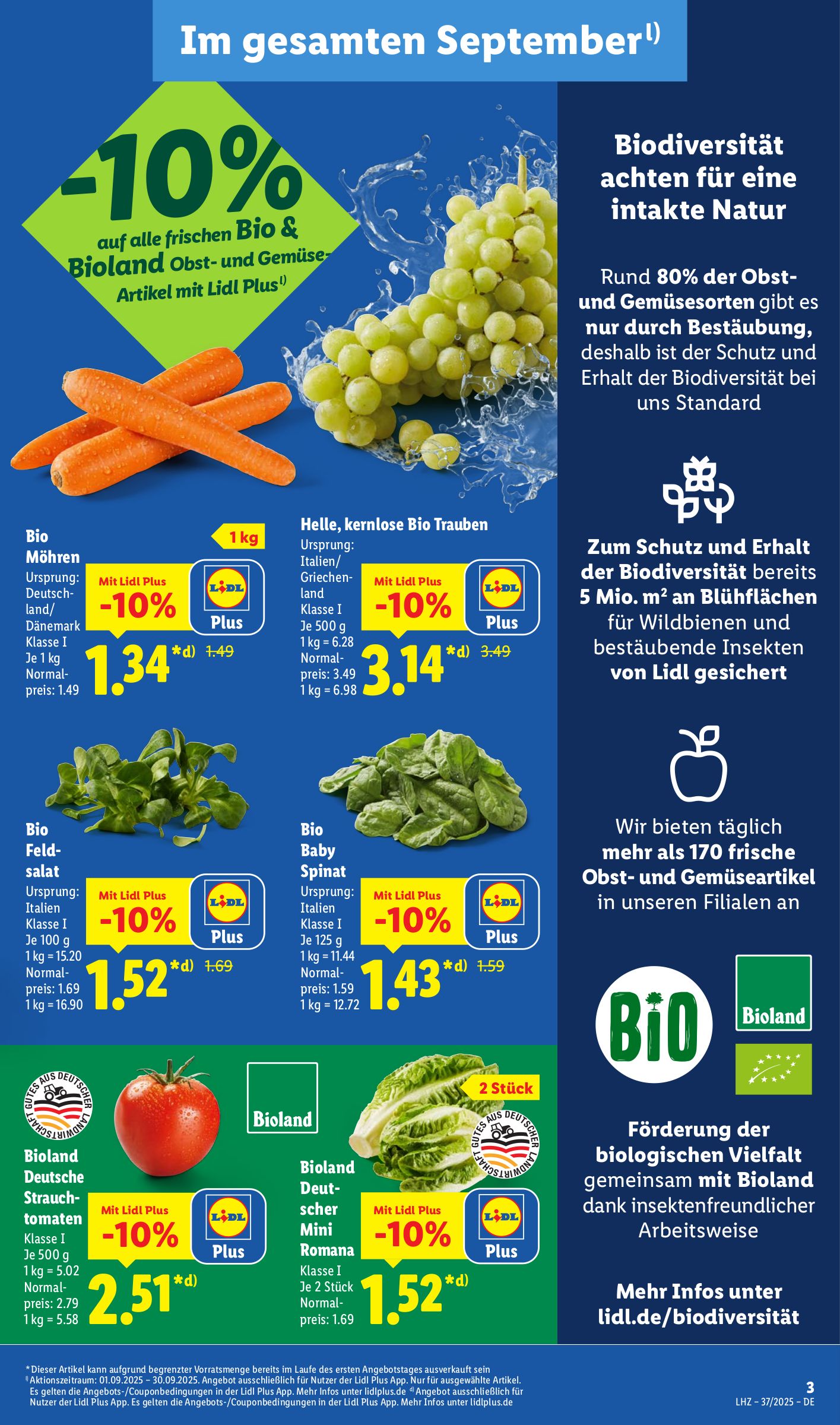 lidl - Lidl-Prospekt gültig vom 08.09. bis 13.09. - page: 3