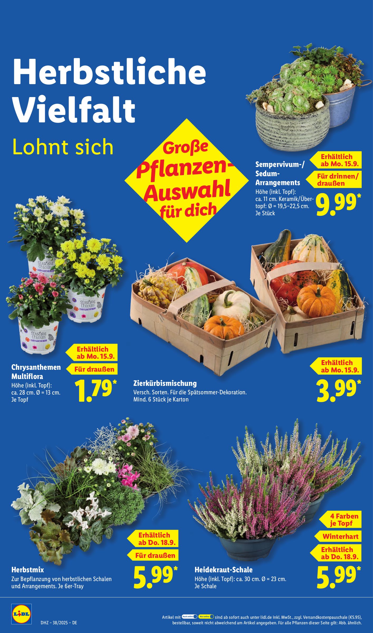 lidl - Lidl-Prospekt gültig vom 15.09. bis 20.09. - page: 24 lidl - Lidl-Prospekt gültig vom 15.09. bis 20.09. - page: 24