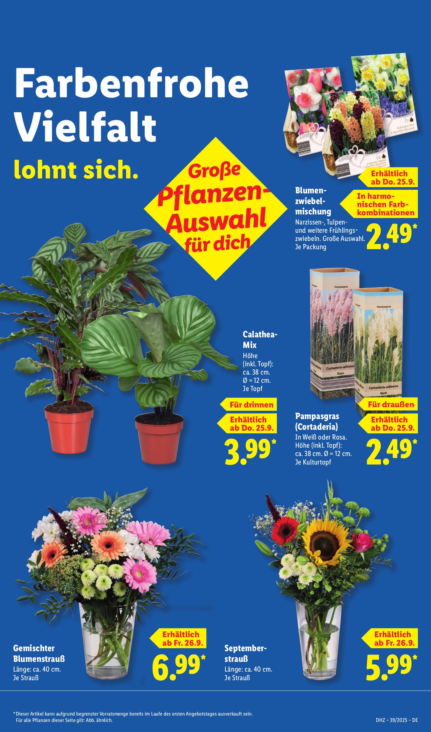 lidl - Lidl-Prospekt gültig vom 22.09. bis 27.09. - page: 65 lidl - Lidl-Prospekt gültig vom 22.09. bis 27.09. - page: 65