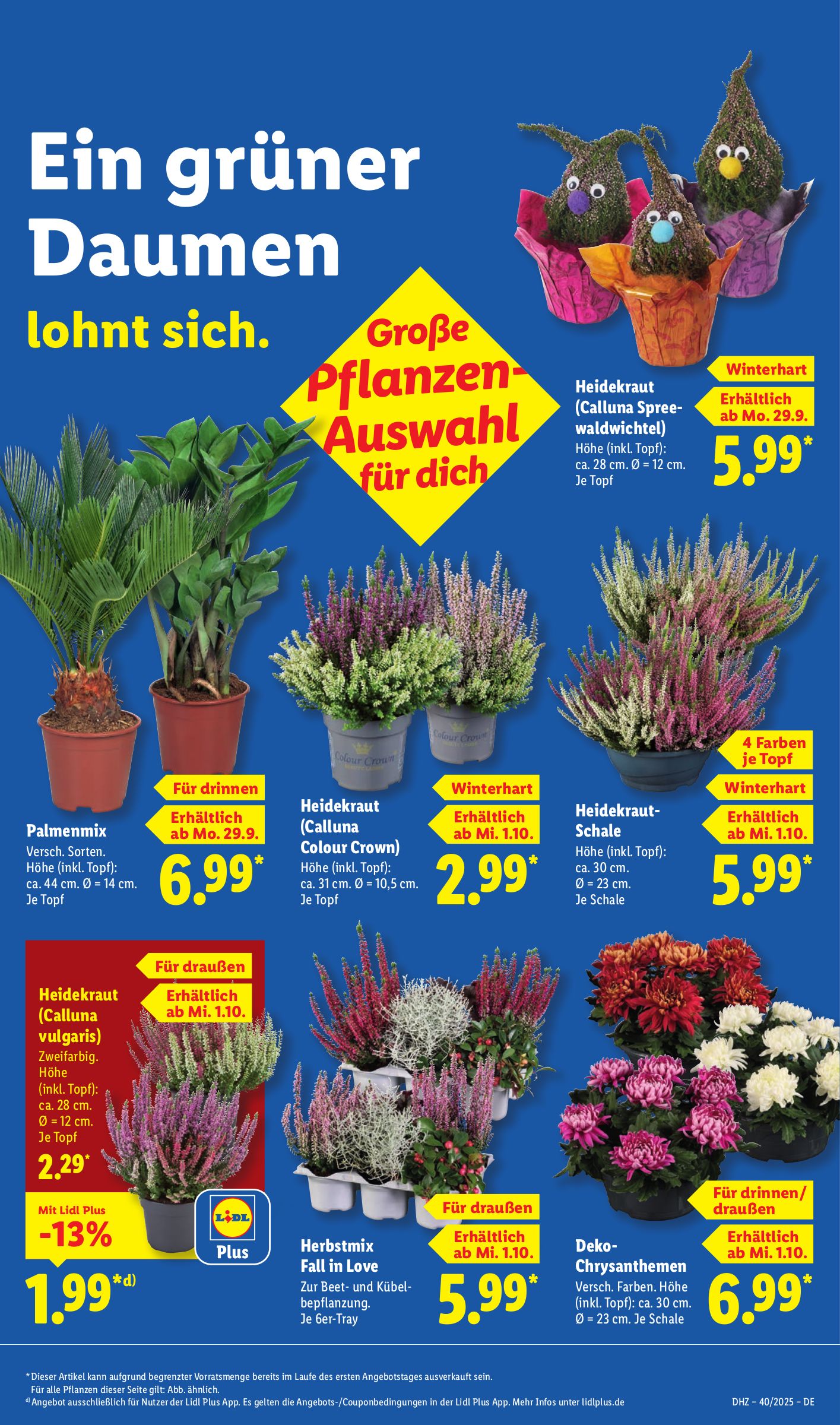 lidl - Lidl-Prospekt gültig vom 29.09. bis 04.10. - page: 9