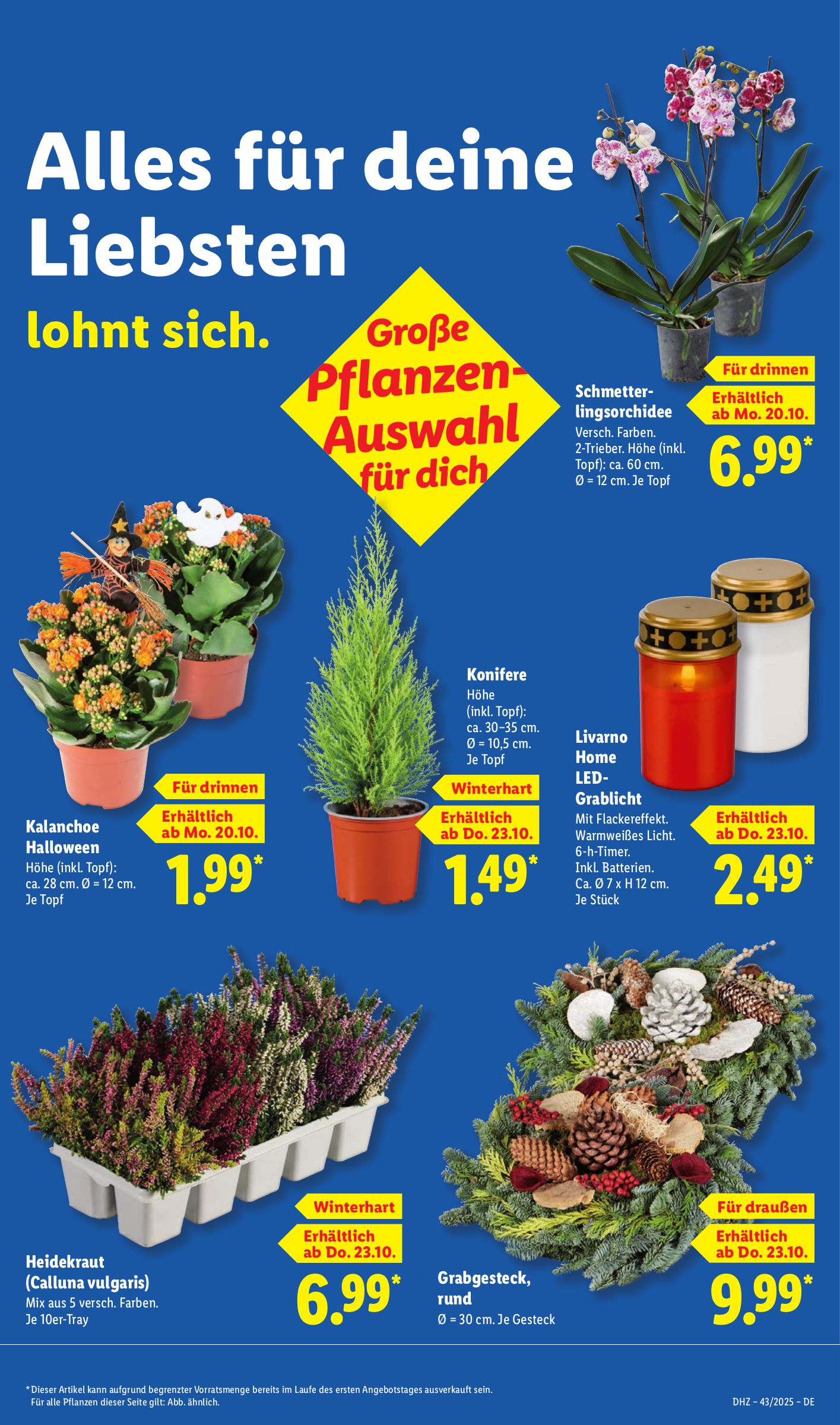 lidl - Lidl - Nonfood-Prospekt gültig vom 20.10. bis 25.10. - page: 49 lidl - Lidl - Nonfood-Prospekt gültig vom 20.10. bis 25.10. - page: 49