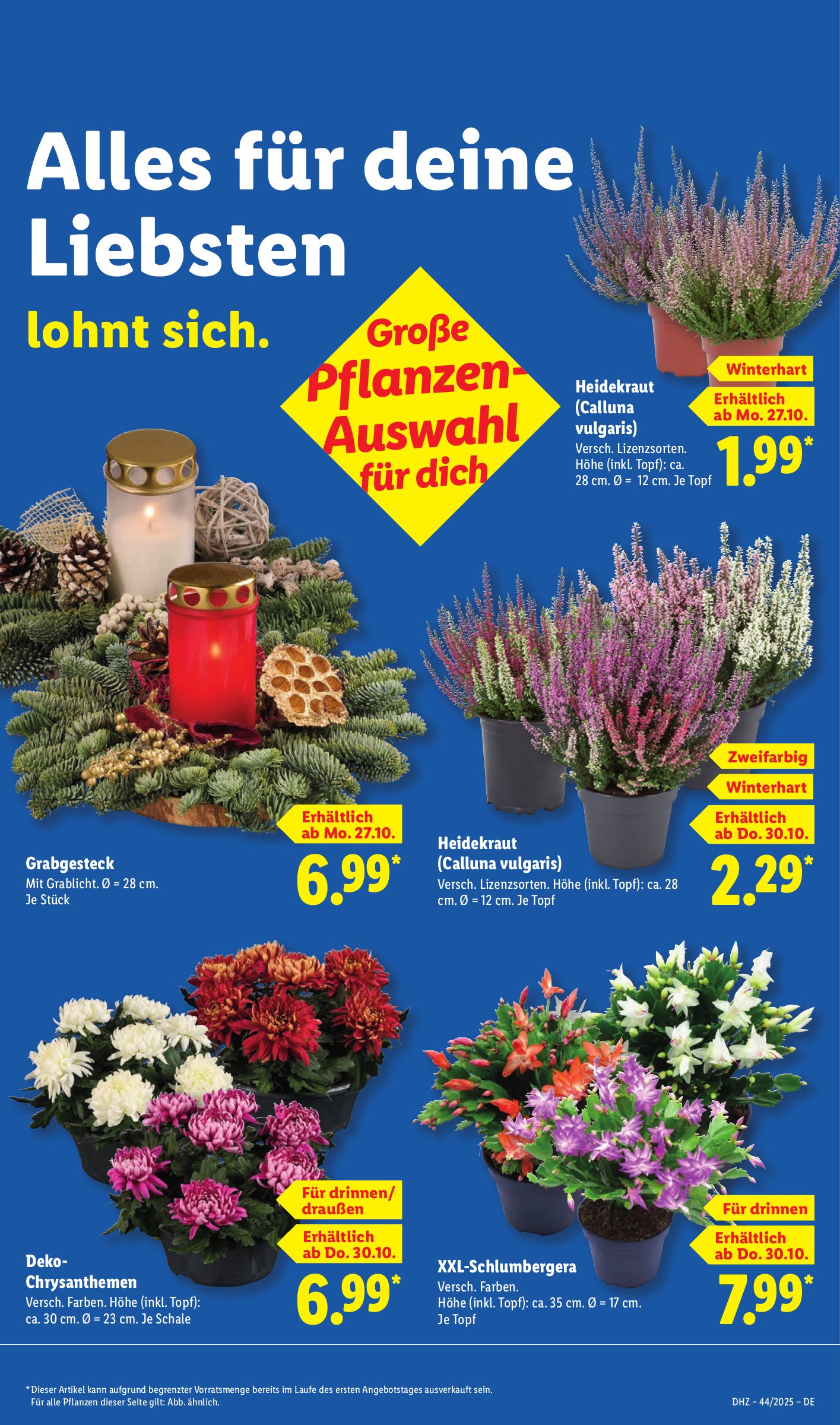 lidl - Lidl-Prospekt gültig vom 27.10. bis 01.11. - page: 21 lidl - Lidl-Prospekt gültig vom 27.10. bis 01.11. - page: 21