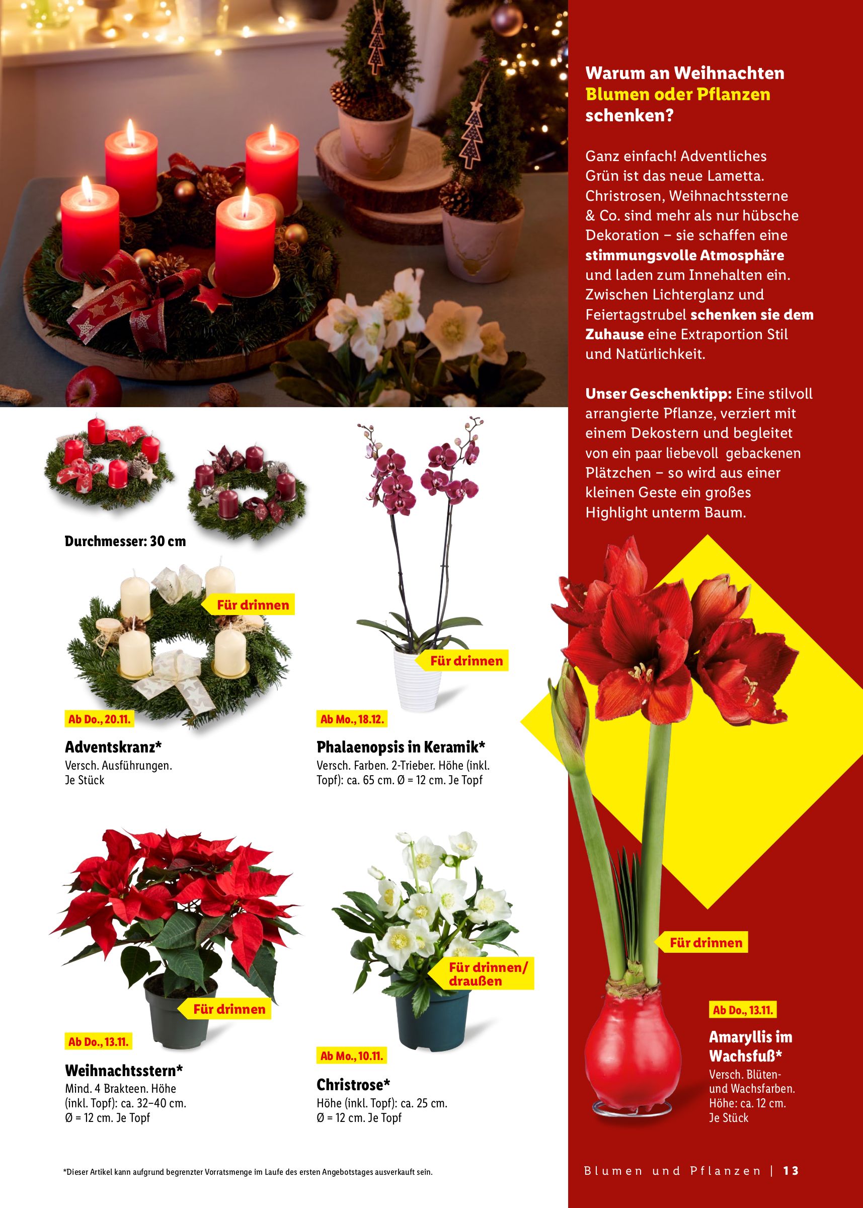 lidl - Lidl - Geschenkemagazin-Prospekt gültig vom 31.10. bis 27.12. - page: 13 lidl - Lidl - Geschenkemagazin-Prospekt gültig vom 31.10. bis 27.12. - page: 13