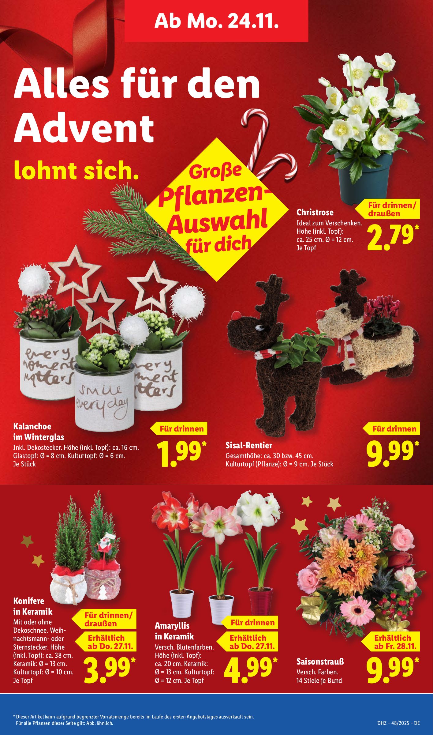 lidl - Lidl-Prospekt gültig vom 24.11. bis 29.11. - page: 11