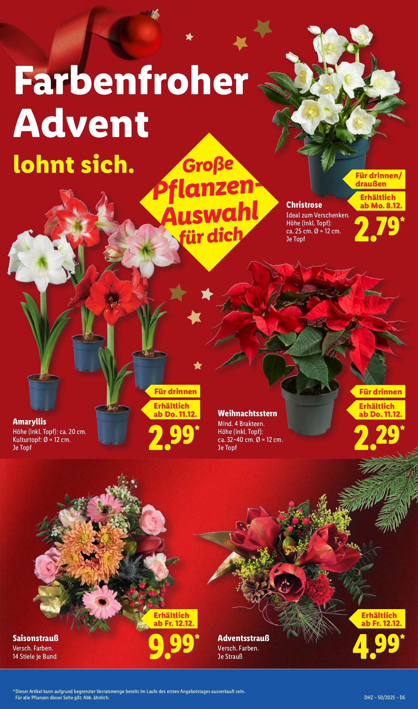 lidl - Lidl-Prospekt gültig vom 08.12. bis 13.12. - page: 21