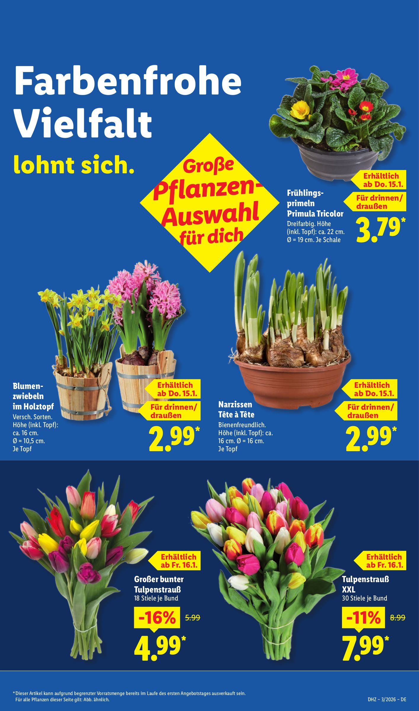 lidl - Lidl-Prospekt gültig vom 12.01. bis 17.01. - page: 17