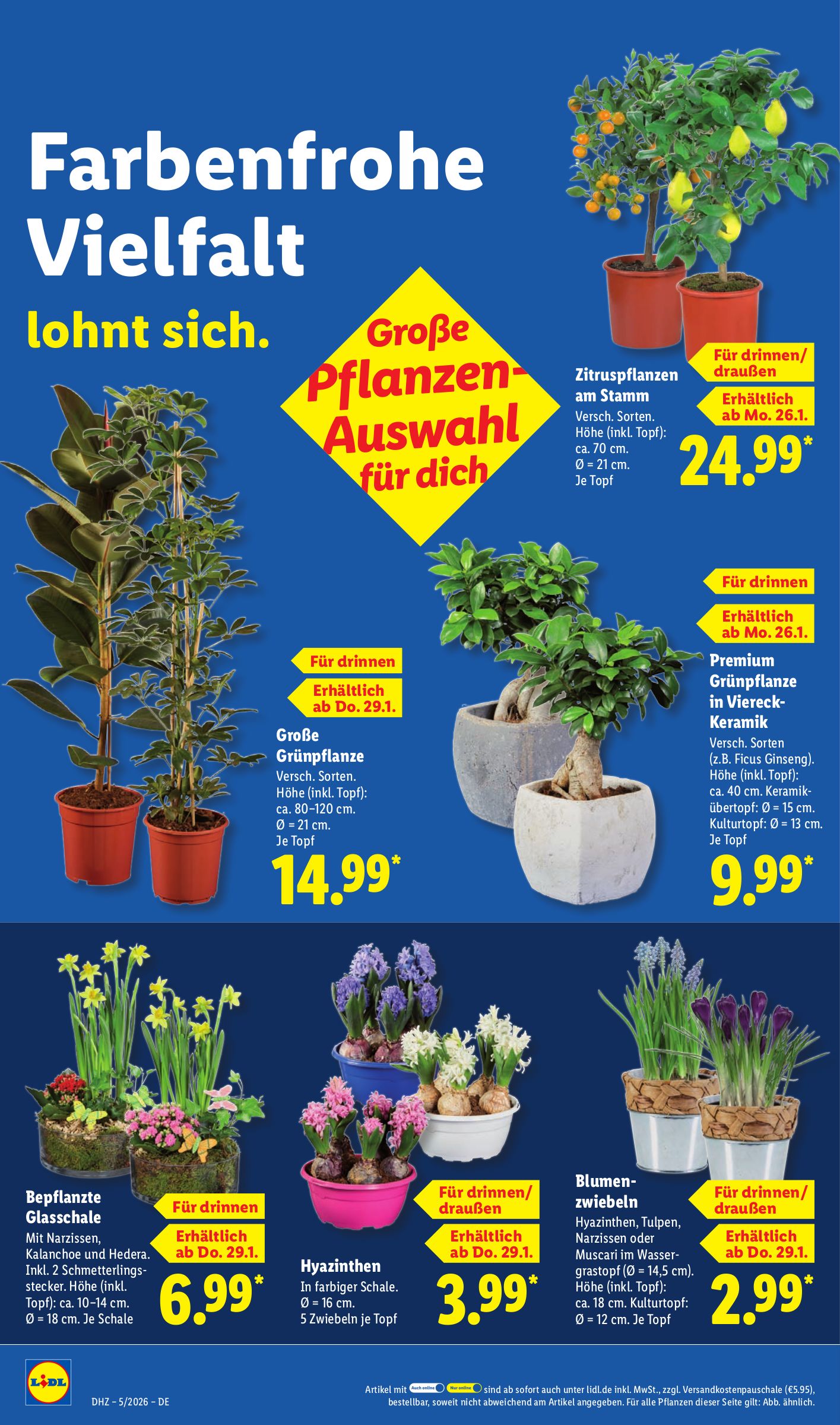 lidl - Lidl-Prospekt gültig vom 26.01. bis 31.01. - page: 16
