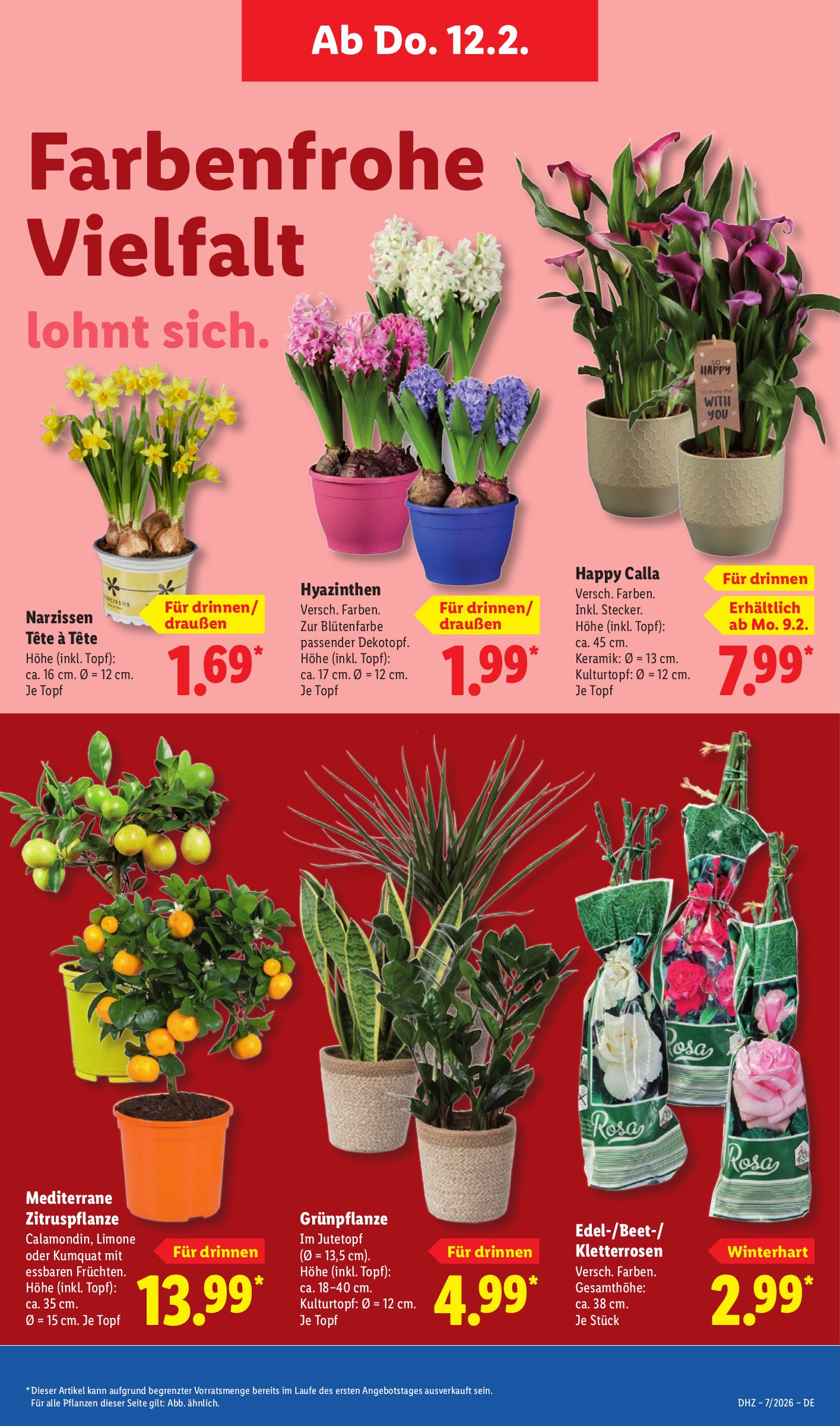 lidl - Lidl-Prospekt gültig vom 09.02.2026 bis 14.02.2026 - page: 11