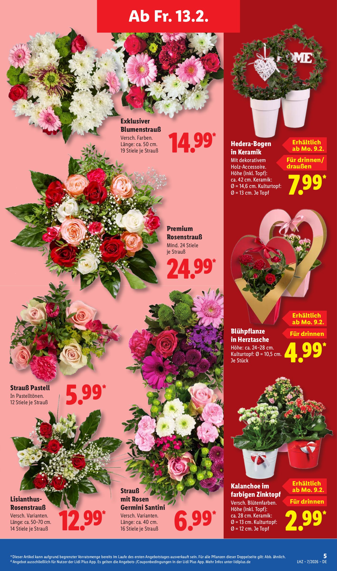 lidl - Lidl-Prospekt gültig vom 09.02.2026 bis 14.02.2026 - page: 13