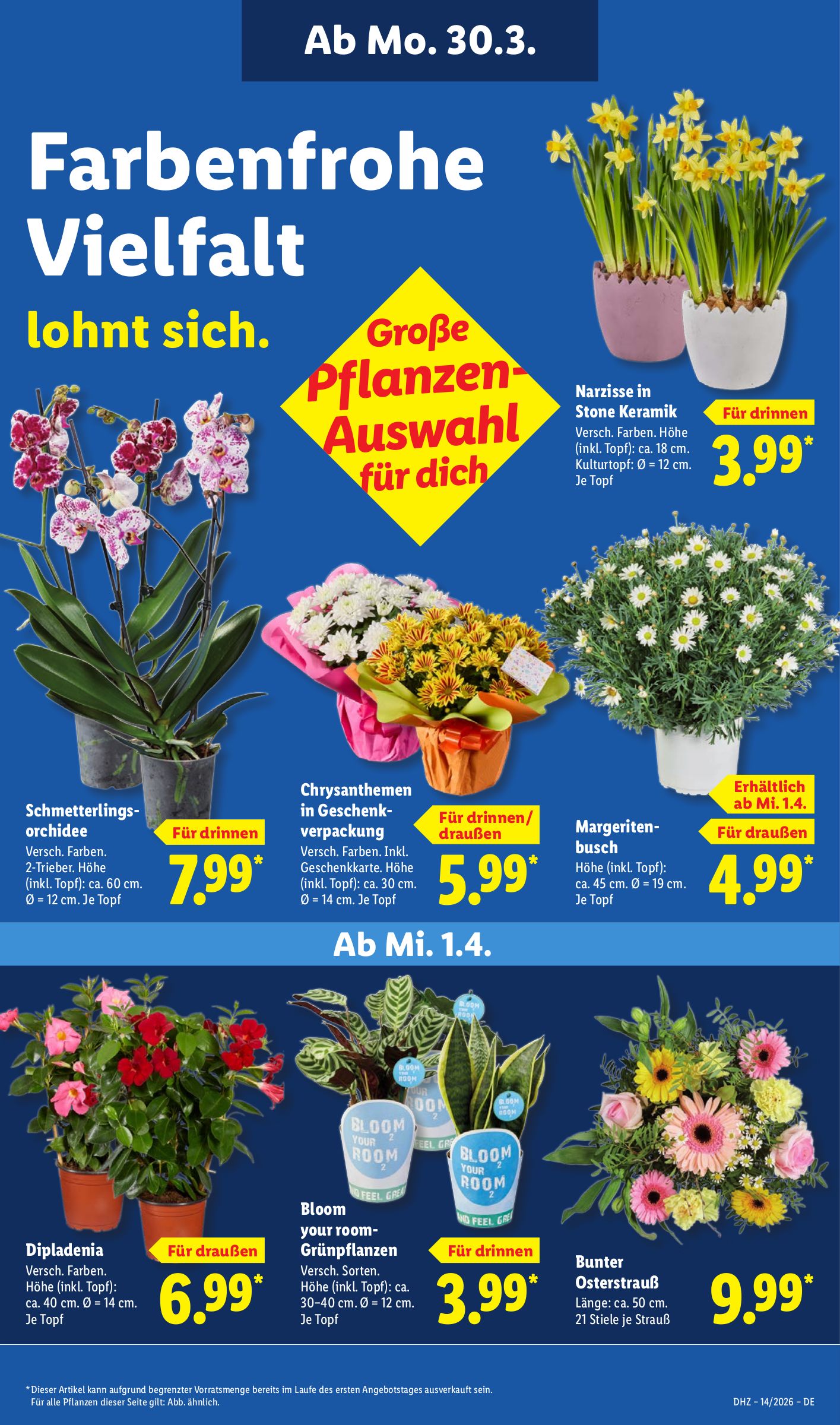 lidl - Lidl-Prospekt gültig vom 30.03.2026 bis 04.04.2026 - page: 31