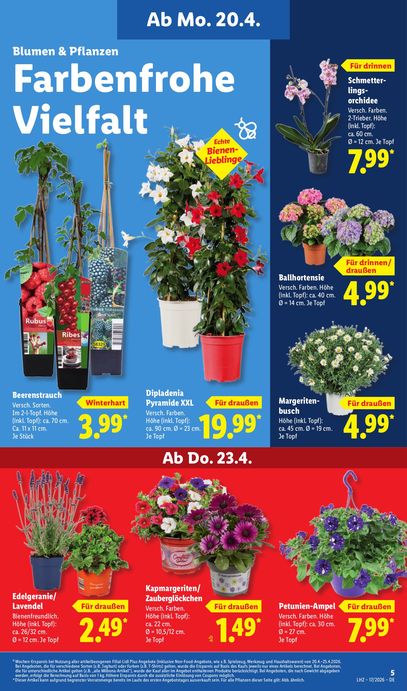 lidl - Lidl Prospekt nächste Woche – von Montag 20.04.2026 bis Samstag 25.04.2026 - page: 11