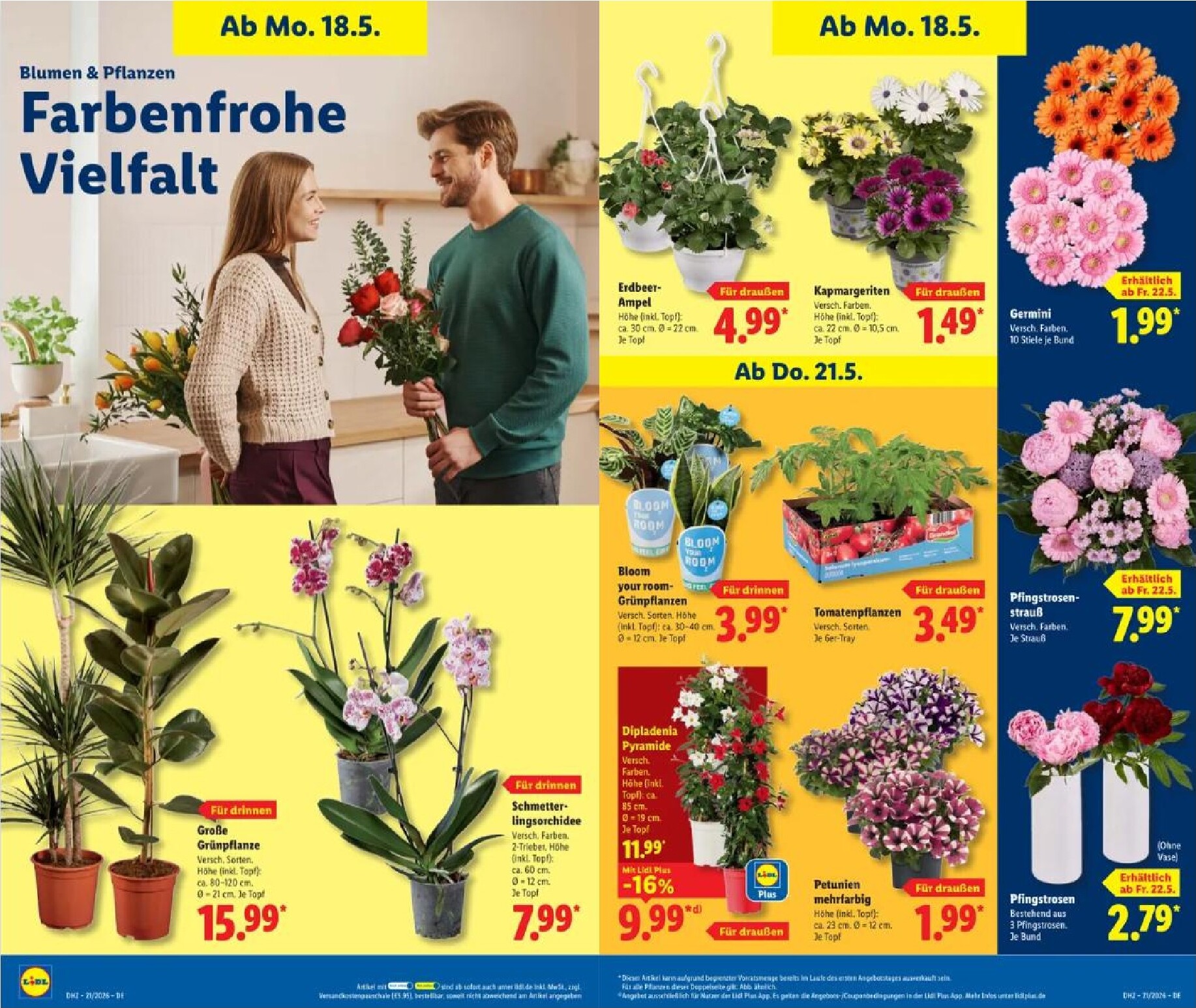 lidl - Lidl Prospekt nächste Woche – von Montag 18.05.2026 bis Samstag 23.05.2026 - page: 36
