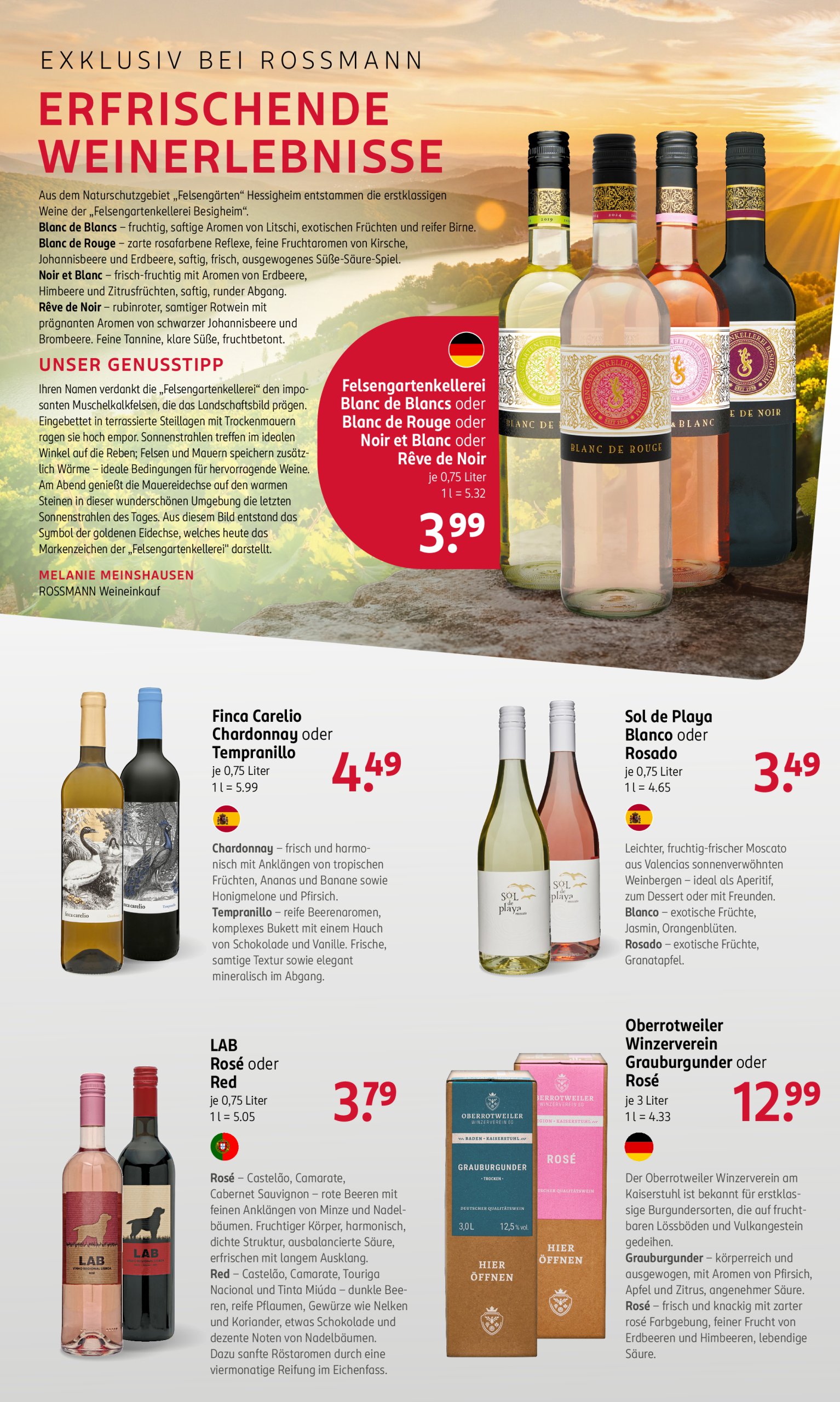 rossmann - ROSSMANN-Prospekt gültig vom 14.07. bis 18.07. - page: 19