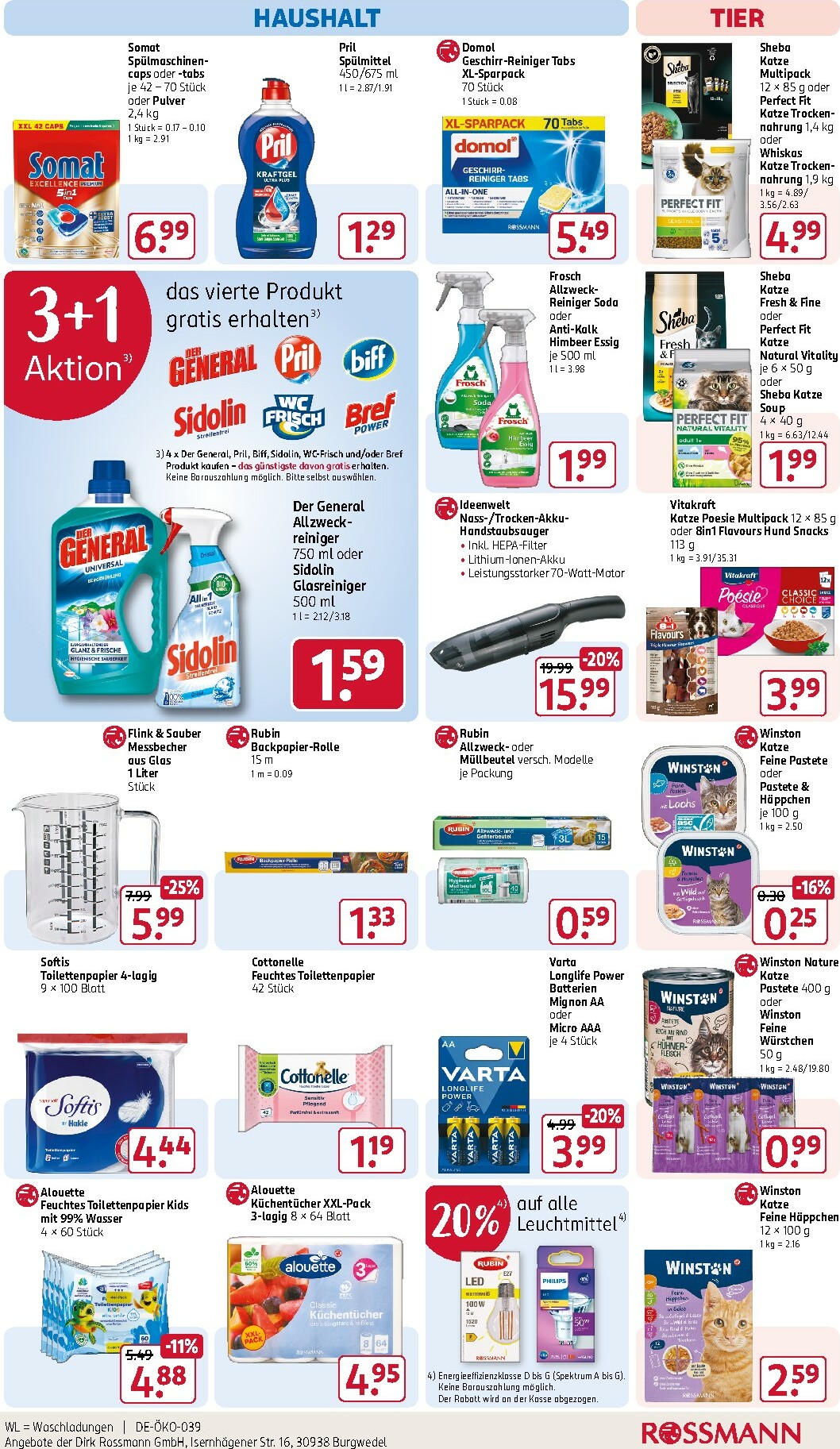 rossmann - ROSSMANN-Prospekt gültig vom 13.10. bis 17.10. - page: 17