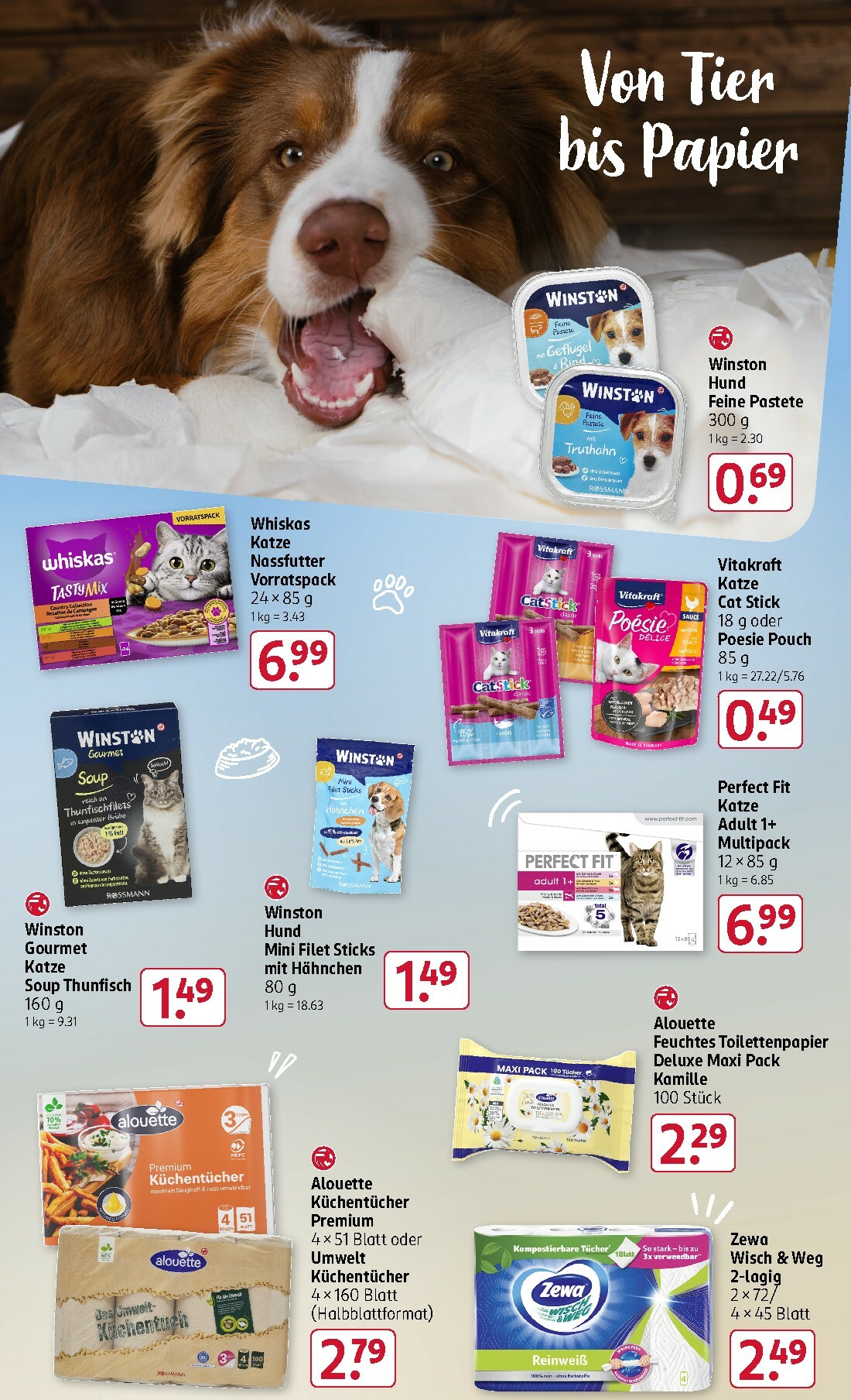 rossmann - ROSSMANN-Prospekt gültig vom 03.11. bis 07.11. - page: 19