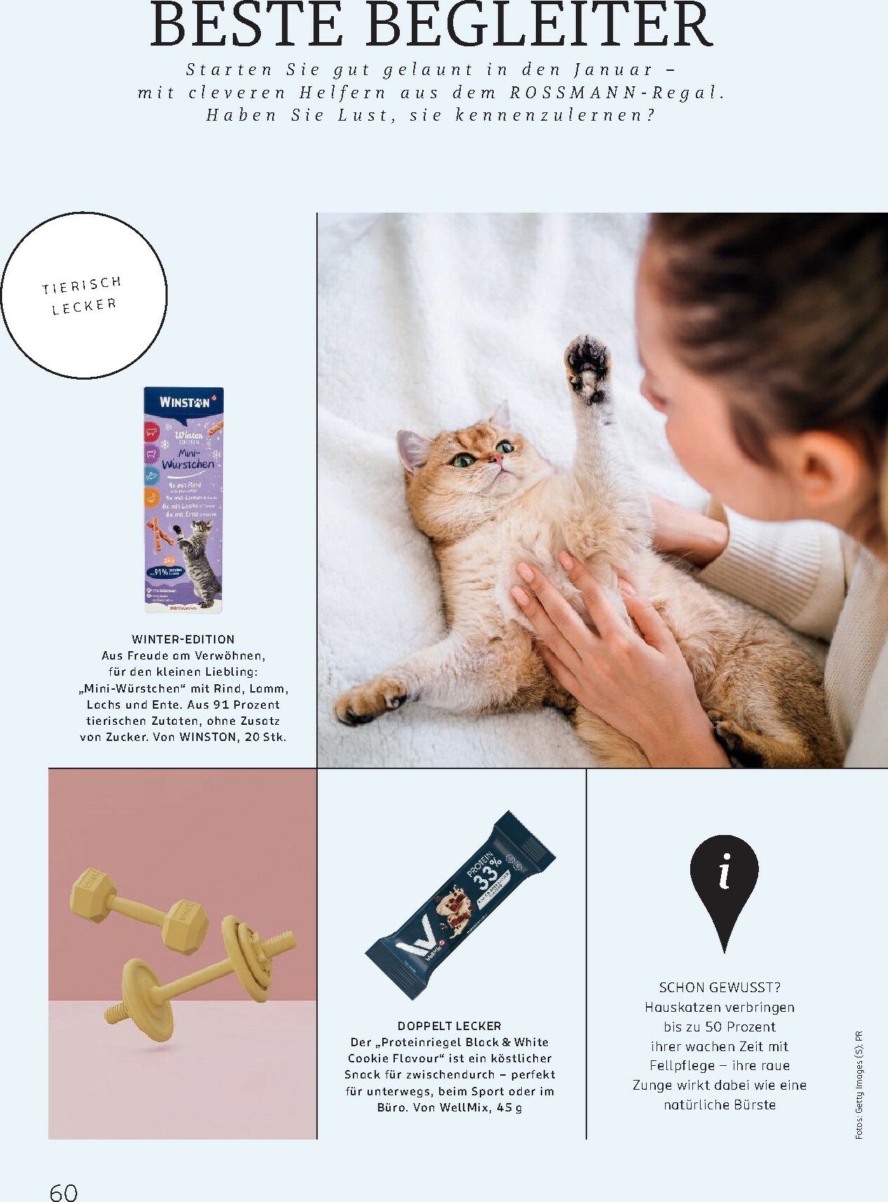 rossmann - ROSSMANN - Centaur-Prospekt gültig vom 01.01. bis 31.01. - page: 60