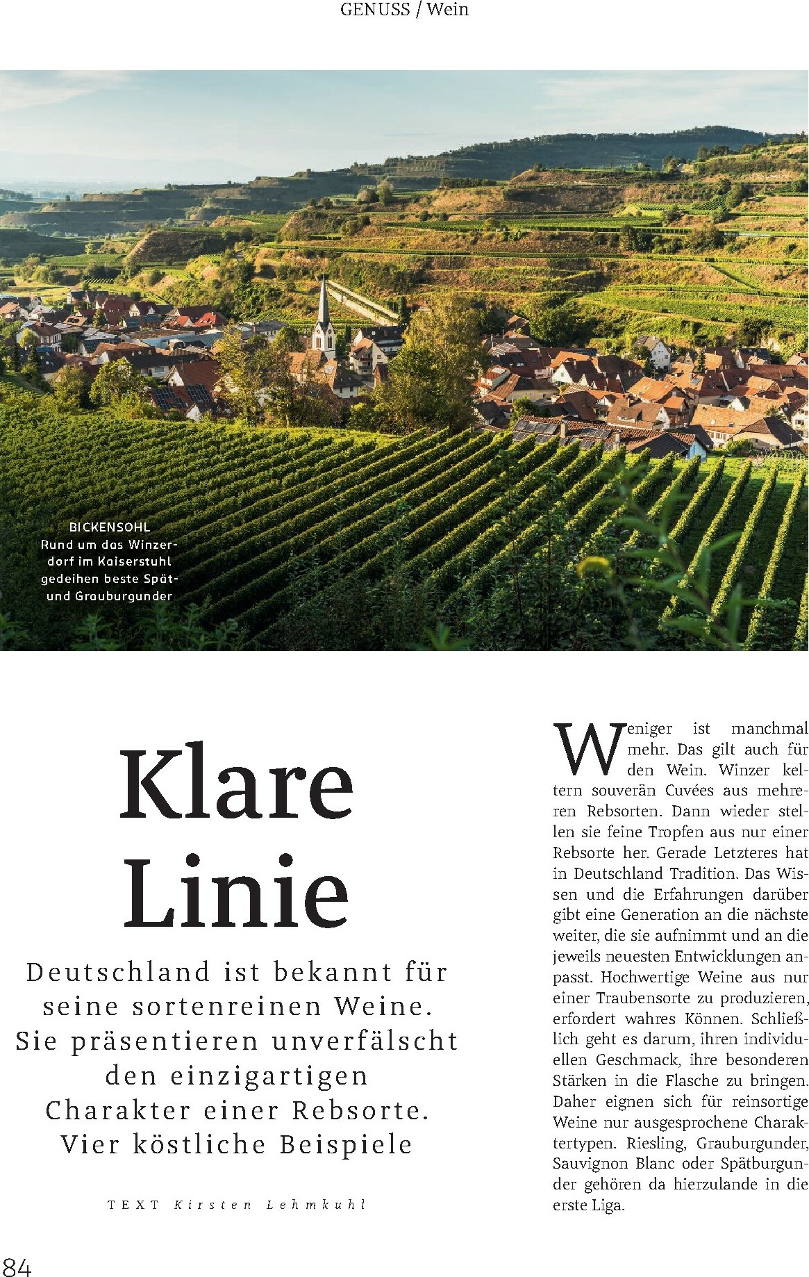 rossmann - ROSSMANN - Centaur-Prospekt gültig vom 01.01. bis 31.01. - page: 84