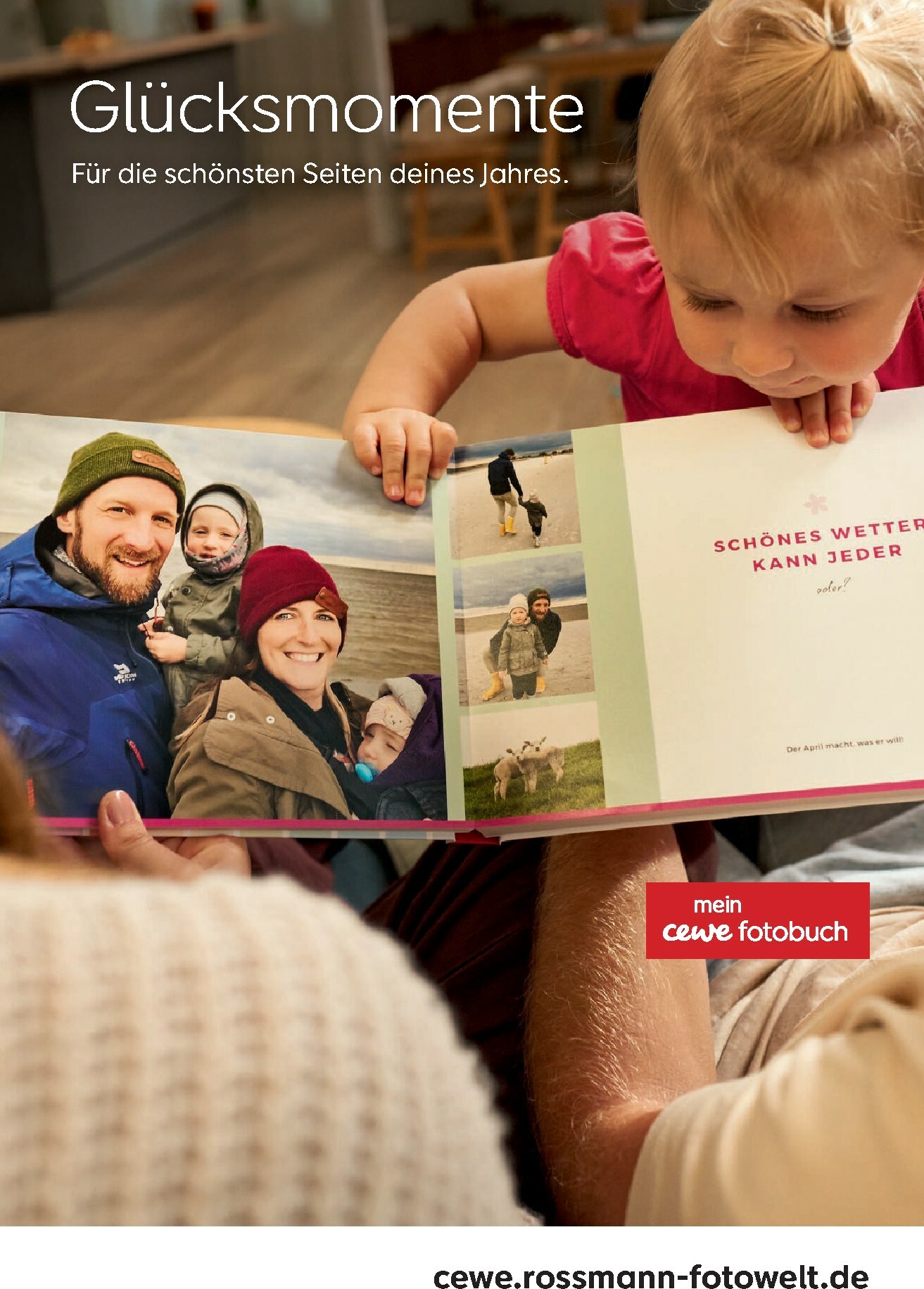 rossmann - ROSSMANN - Centaur-Prospekt gültig vom 01.02.2026 bis 28.02.2026 - page: 27