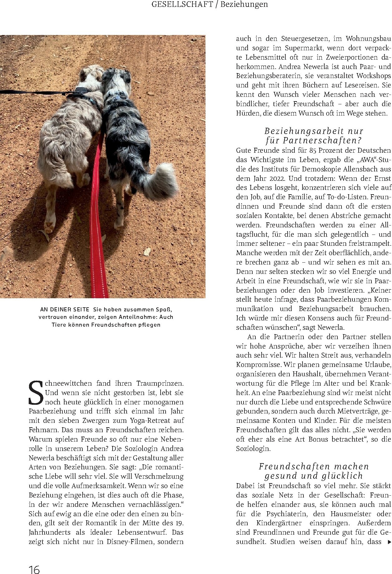 rossmann - ROSSMANN - Centaur-Prospekt gültig vom 01.02.2026 bis 28.02.2026 - page: 16