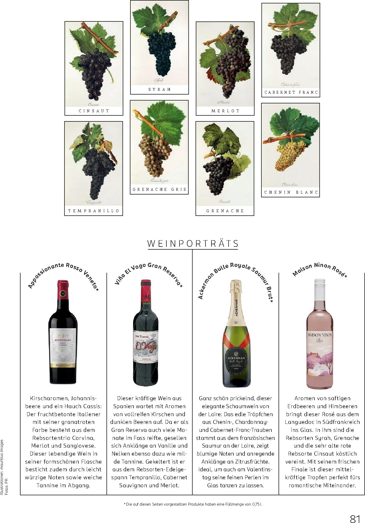 rossmann - ROSSMANN - Centaur-Prospekt gültig vom 01.02.2026 bis 28.02.2026 - page: 81