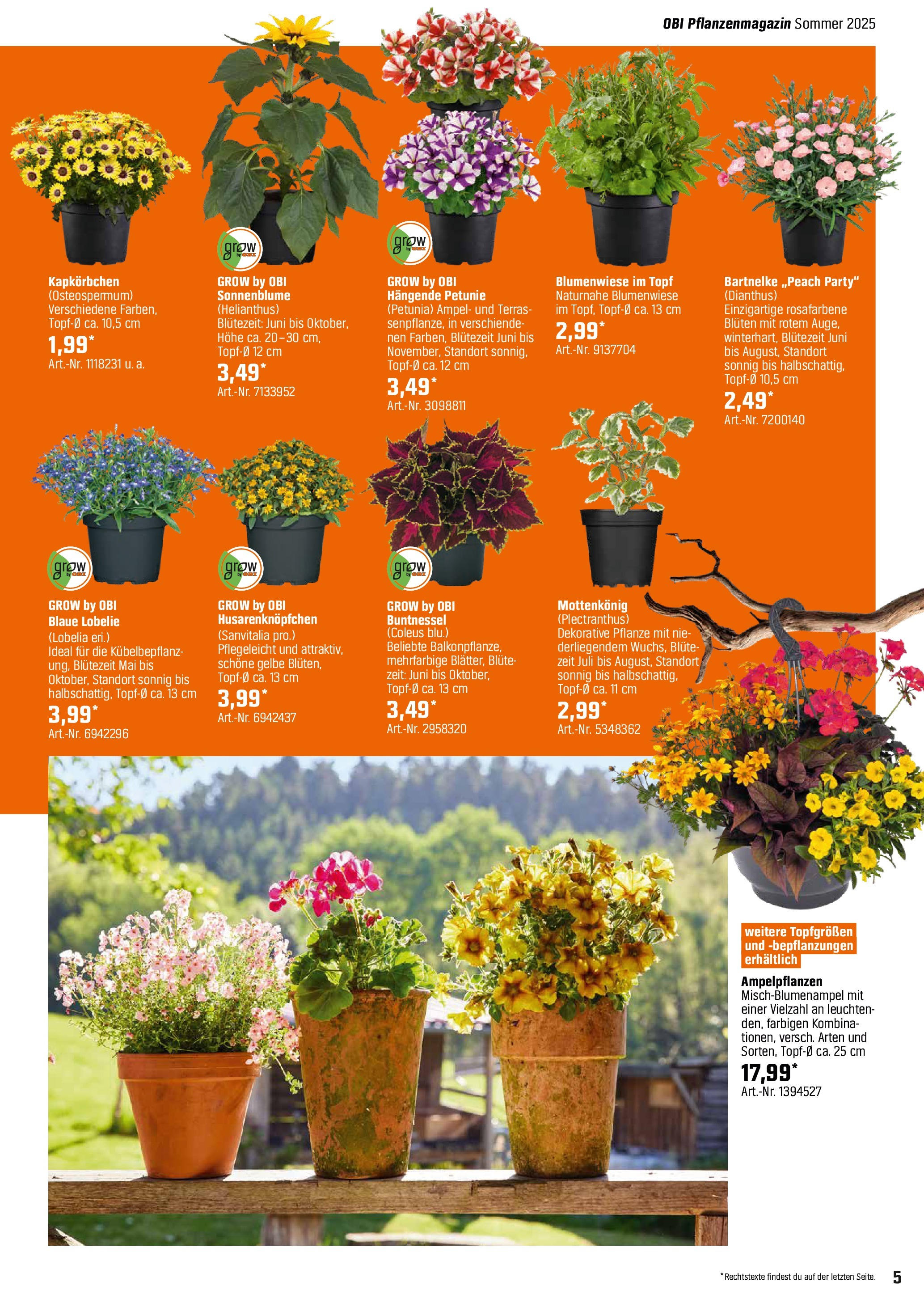 obi - Obi - Bring Farbe in den Garten-Prospekt gültig von 04.05. bis 31.05. - page: 5