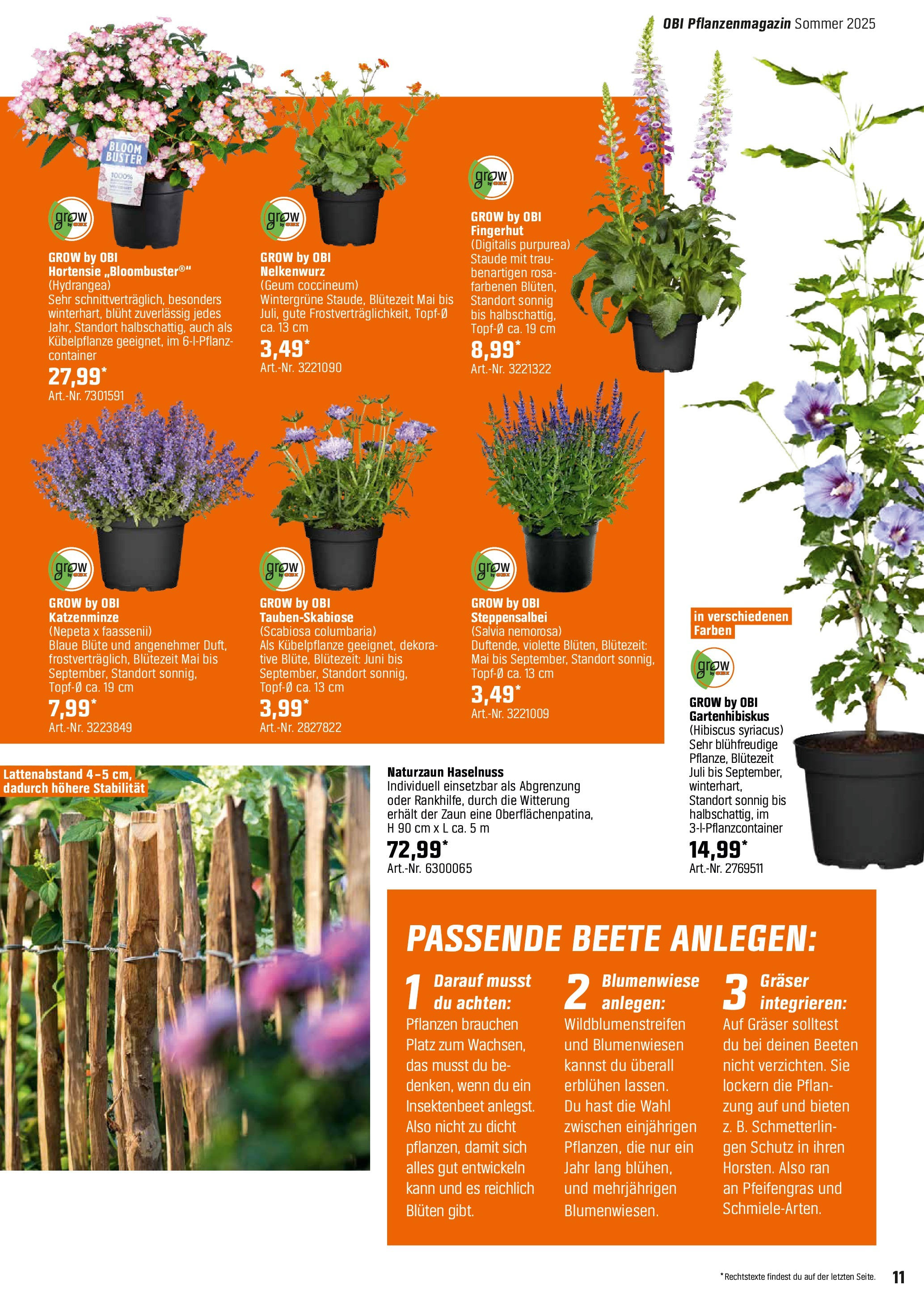 obi - Obi - Bring Farbe in den Garten-Prospekt gültig von 04.05. bis 31.05. - page: 11