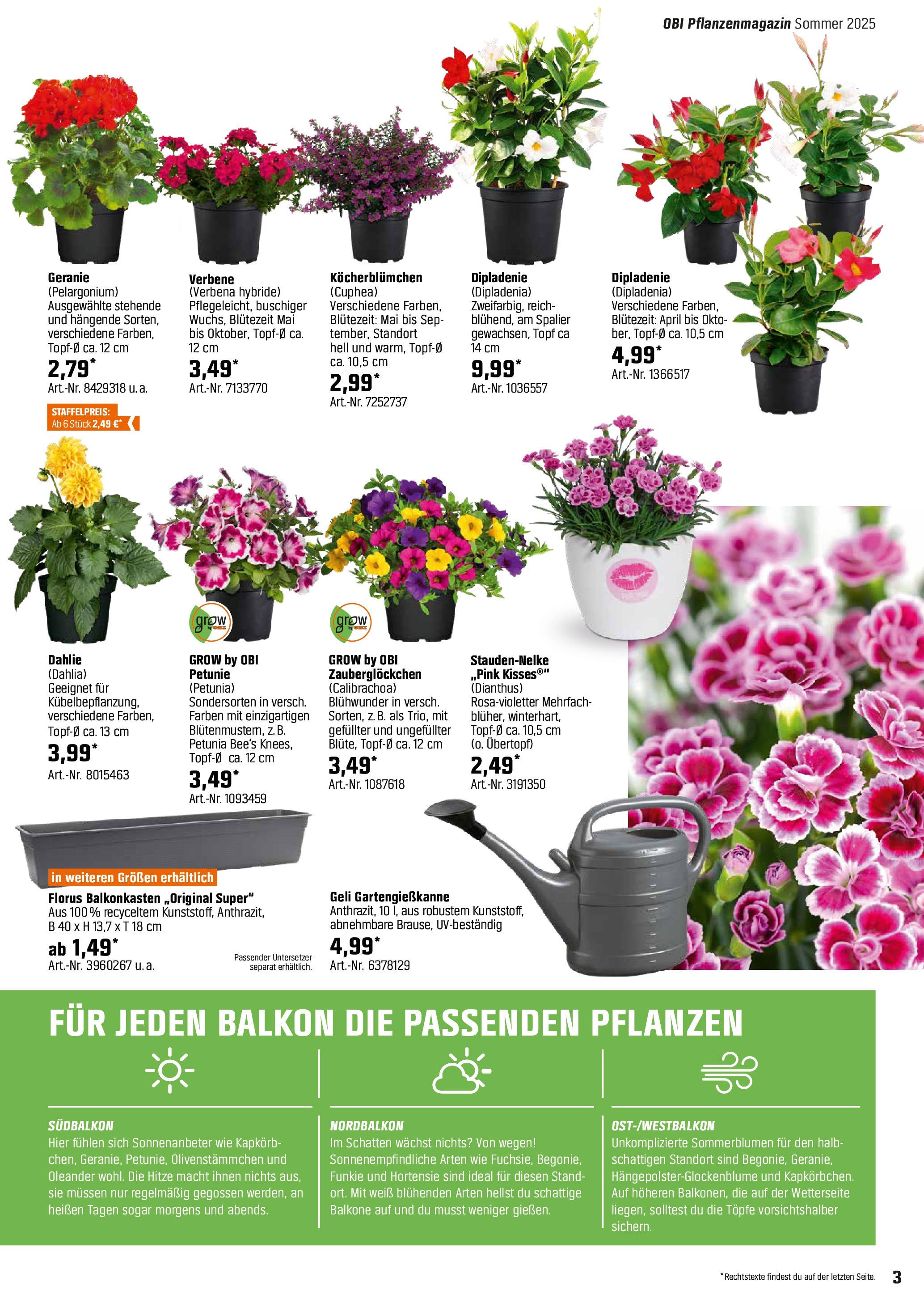 obi - Obi - Bring Farbe in den Garten-Prospekt gültig von 04.05. bis 31.05. - page: 3