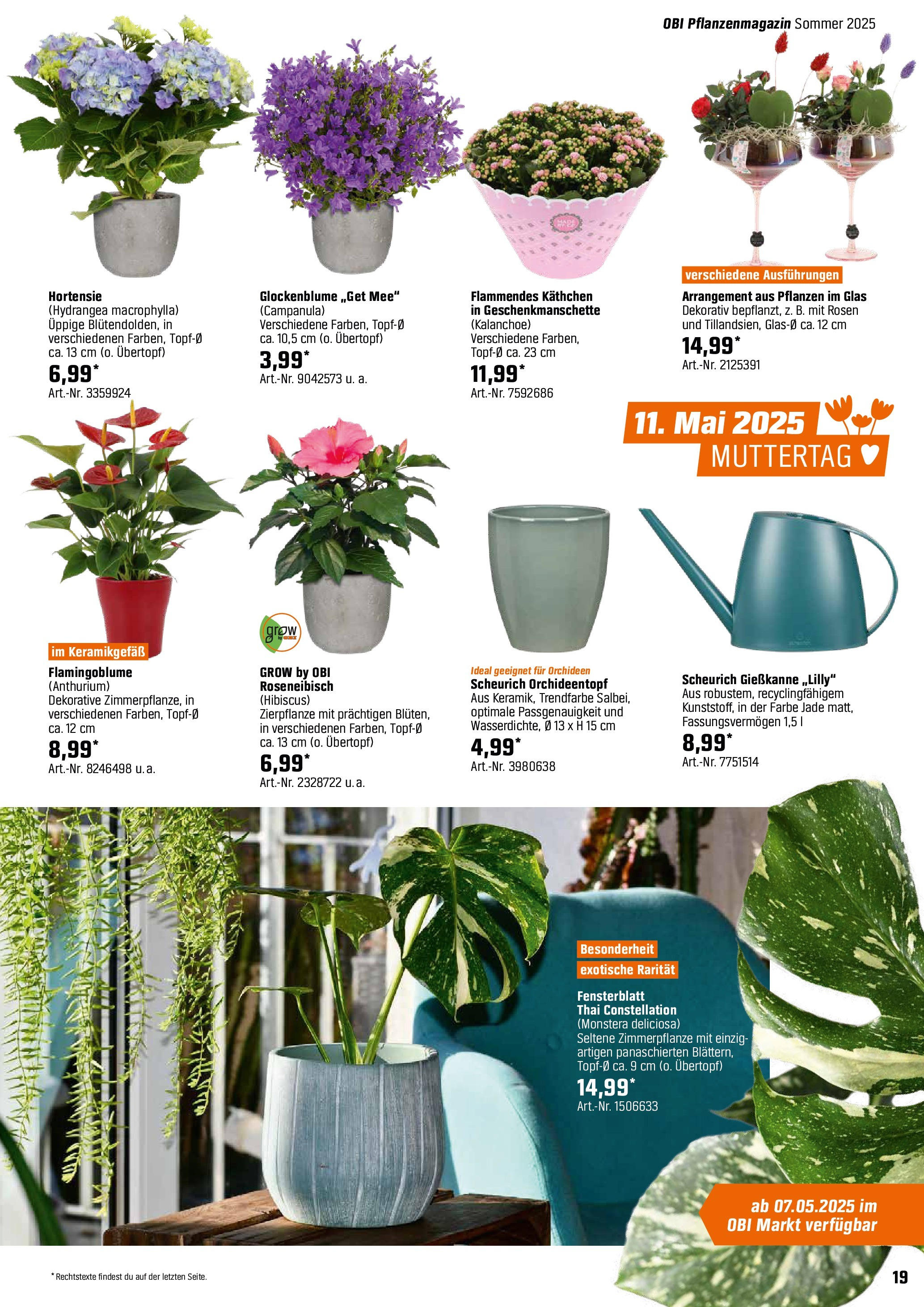 obi - Obi - Bring Farbe in den Garten-Prospekt gültig von 04.05. bis 31.05. - page: 19