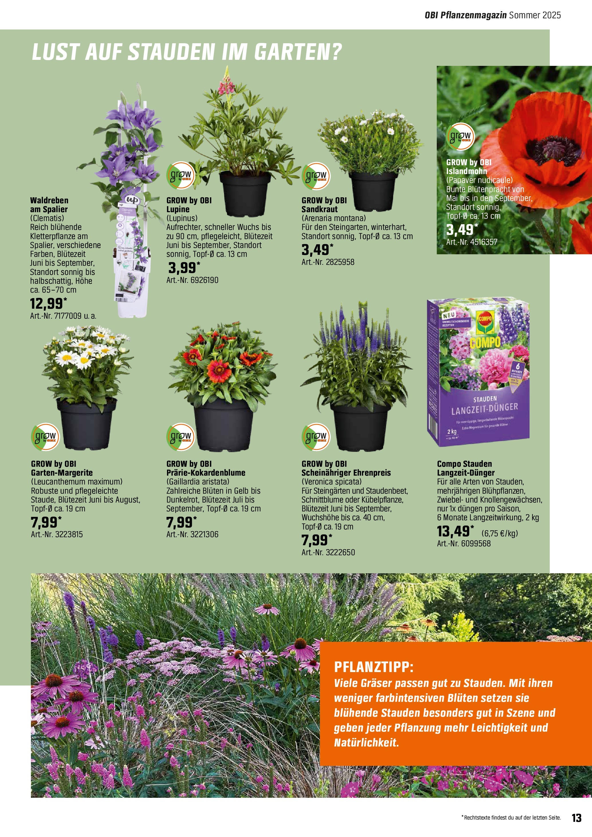 obi - Obi - Bring Farbe in den Garten-Prospekt gültig von 04.05. bis 31.05. - page: 13