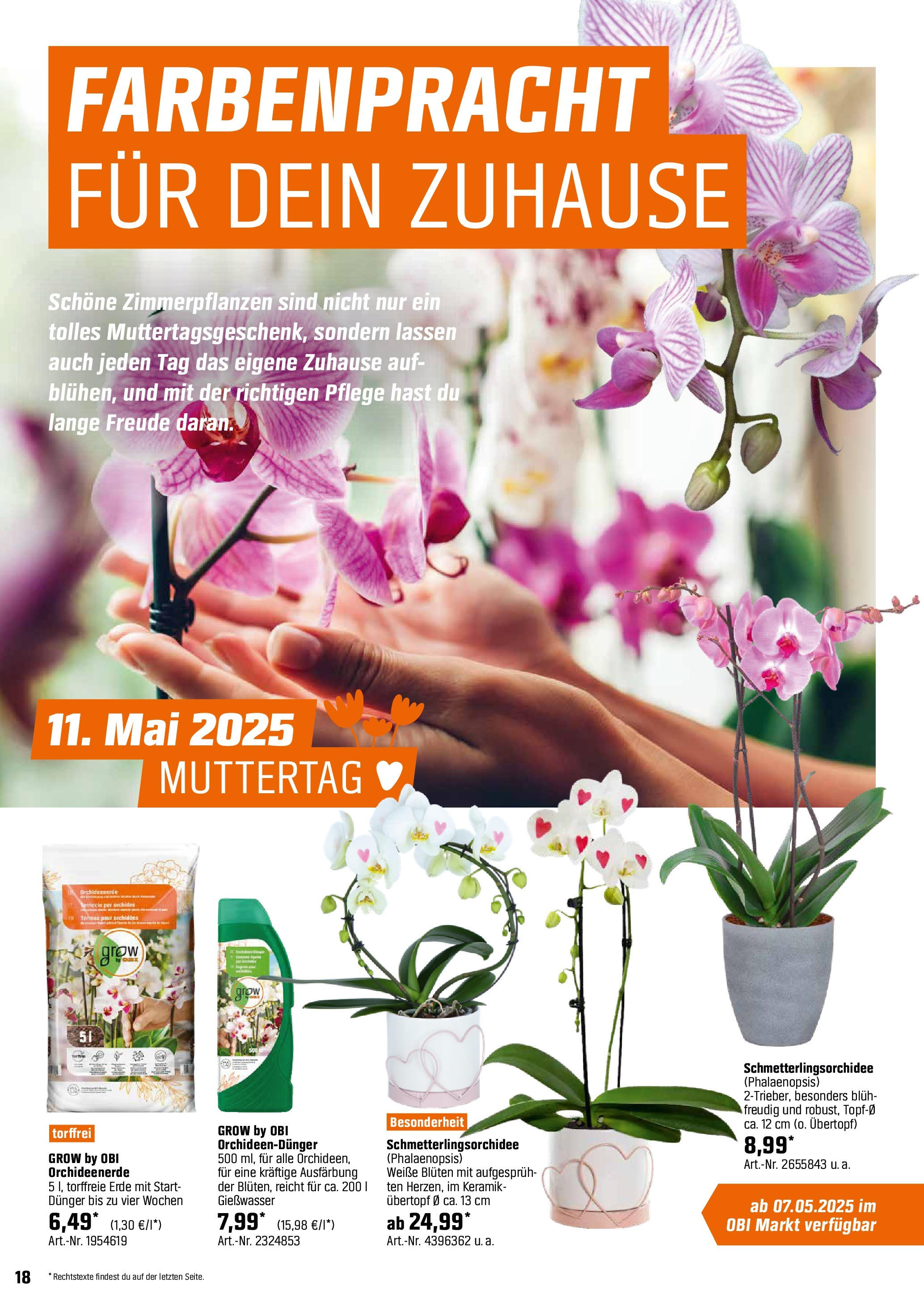 obi - Obi - Bring Farbe in den Garten-Prospekt gültig von 04.05. bis 31.05. - page: 18