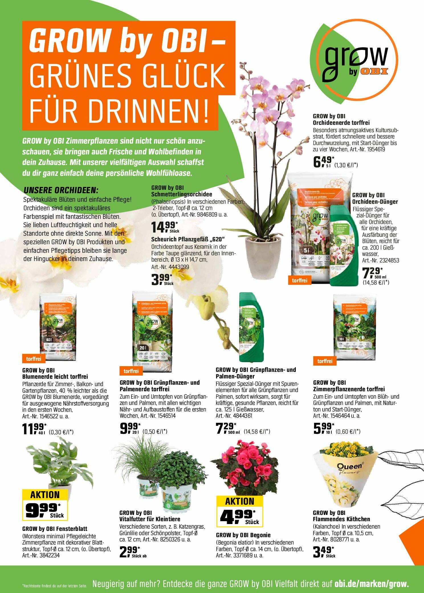 obi - Obi - Herbstzeit ist Pflanzzeit-Prospekt gültig vom 01.09. bis 18.10. - page: 18