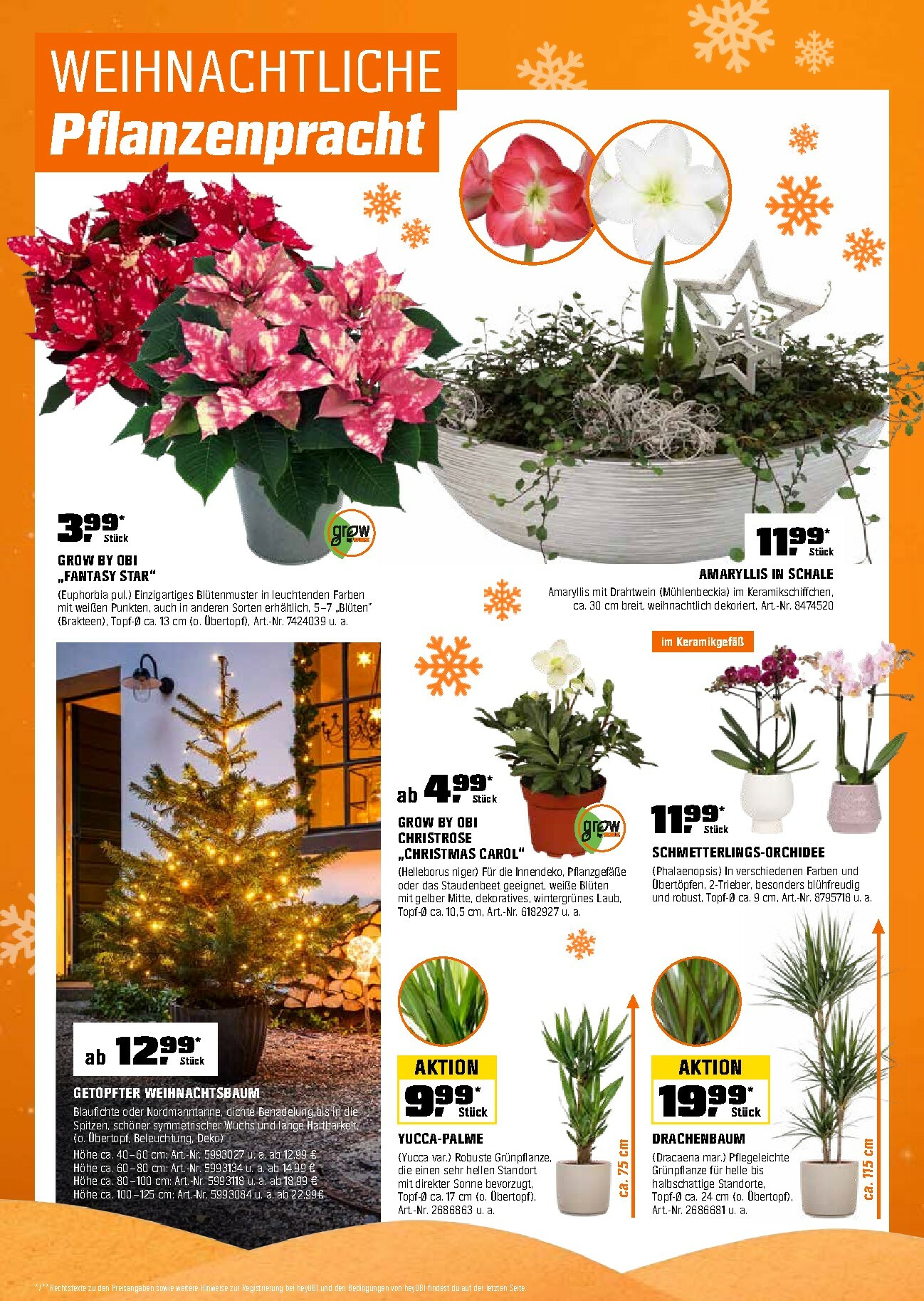 obi - Obi-Prospekt gültig vom 01.12. bis 14.12. - page: 8