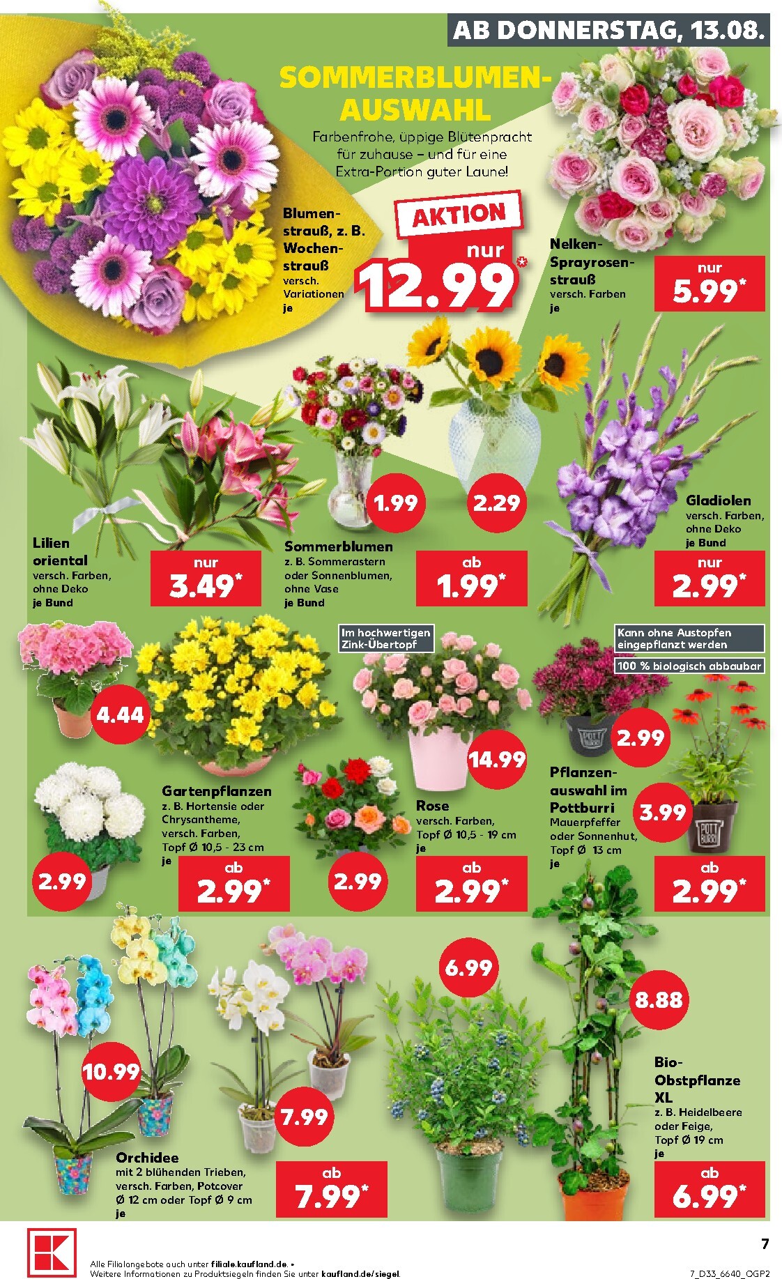 kaufland - Kaufland Prospekt nächste Woche – von Donnerstag 13.08.2026 bis Mittwoch 19.08.2026 - page: 7