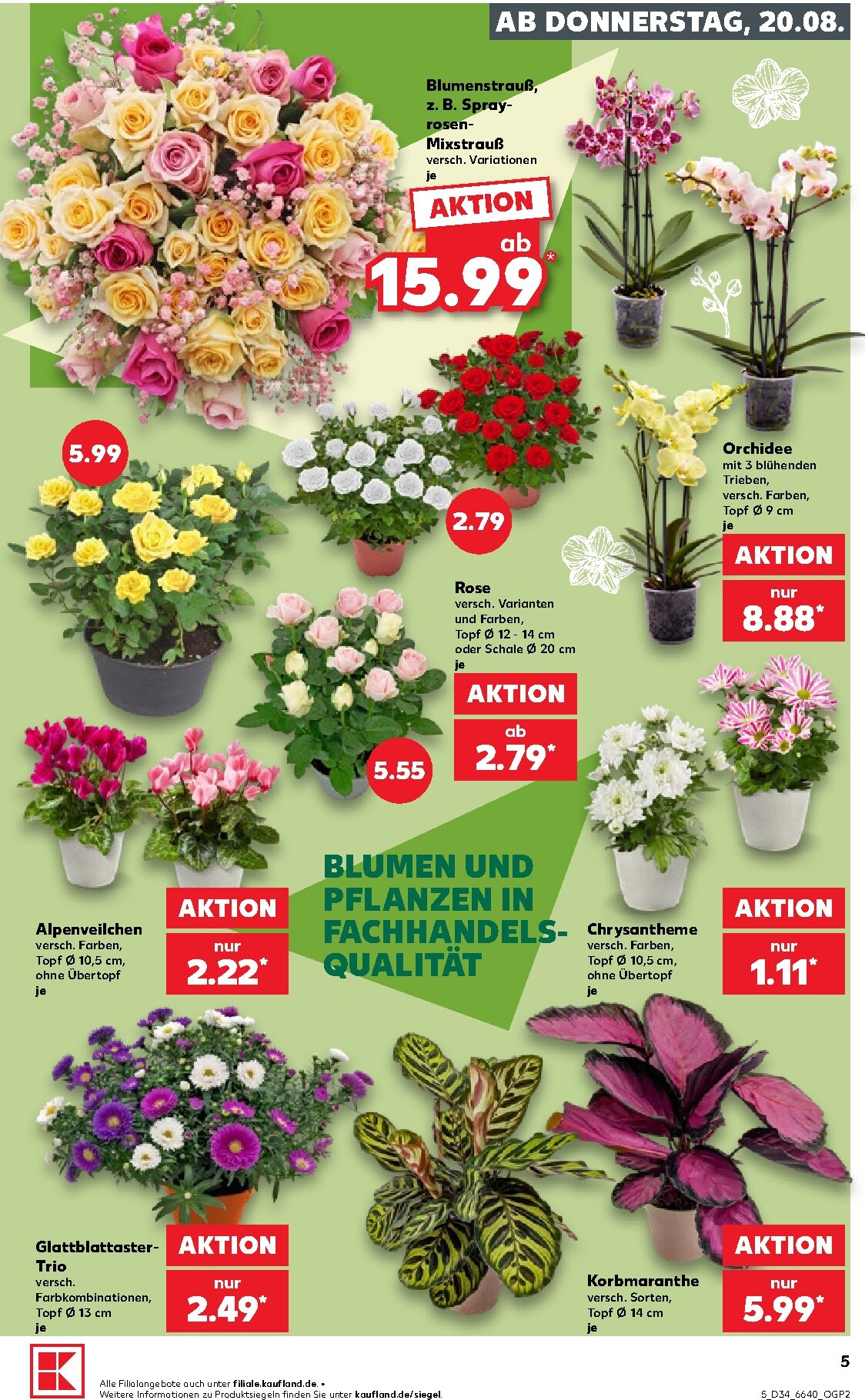 kaufland - Kaufland Prospekt nächste Woche – von Donnerstag 20.08.2026 bis Mittwoch 26.08.2026 - page: 5