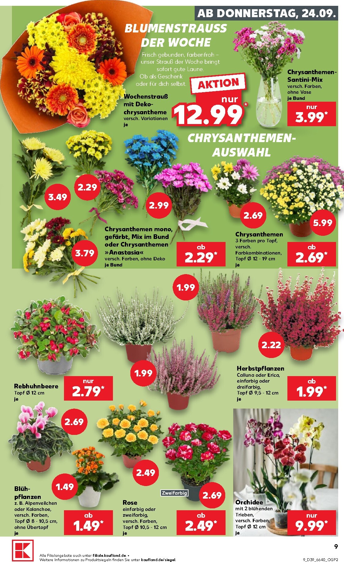 kaufland - Kaufland Prospekt nächste Woche – von Donnerstag 24.09.2026 bis Mittwoch 30.09.2026 - page: 9