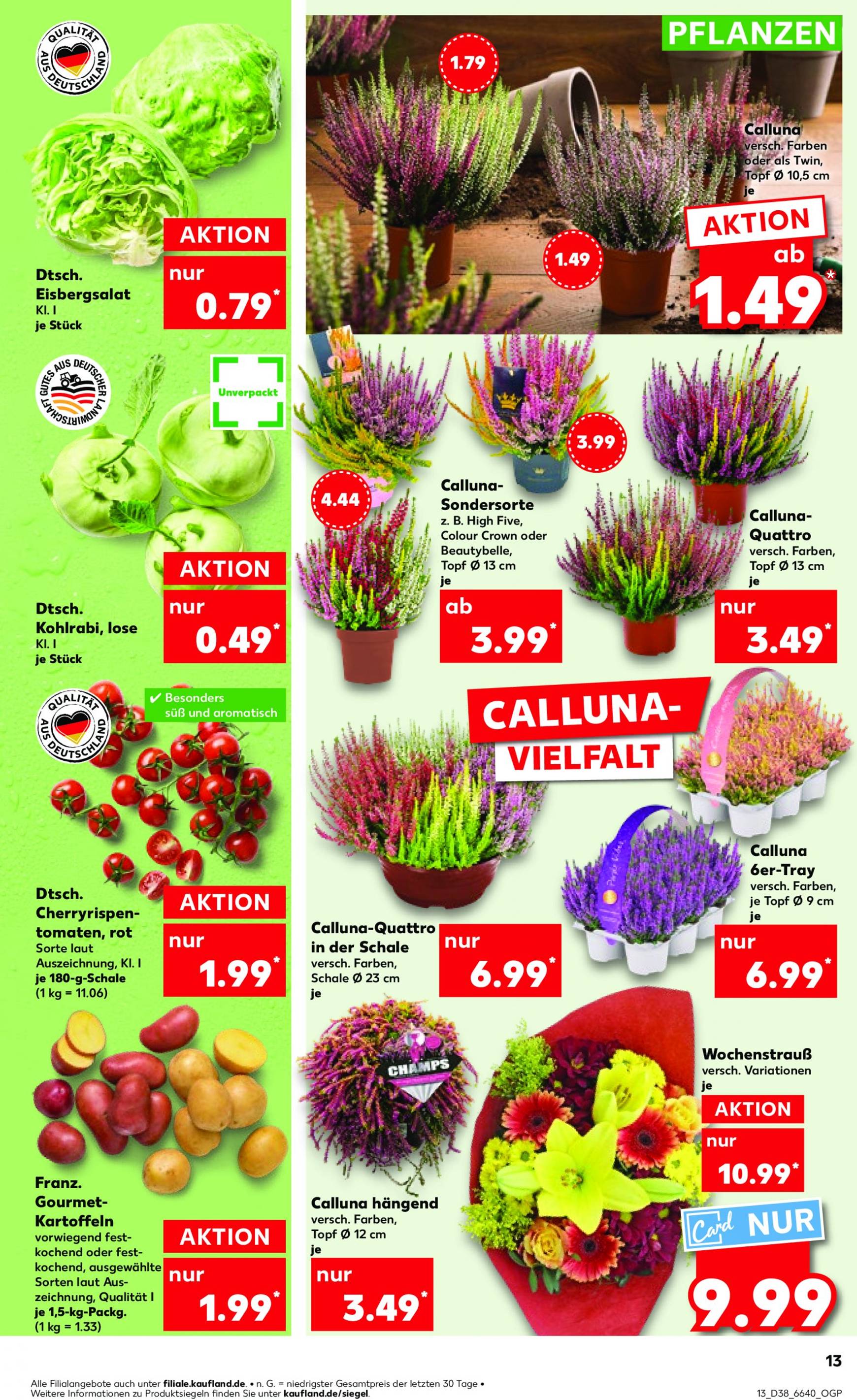 kaufland - Kaufland-Prospekt gültig ab 19.09. - 25.09. - page: 13