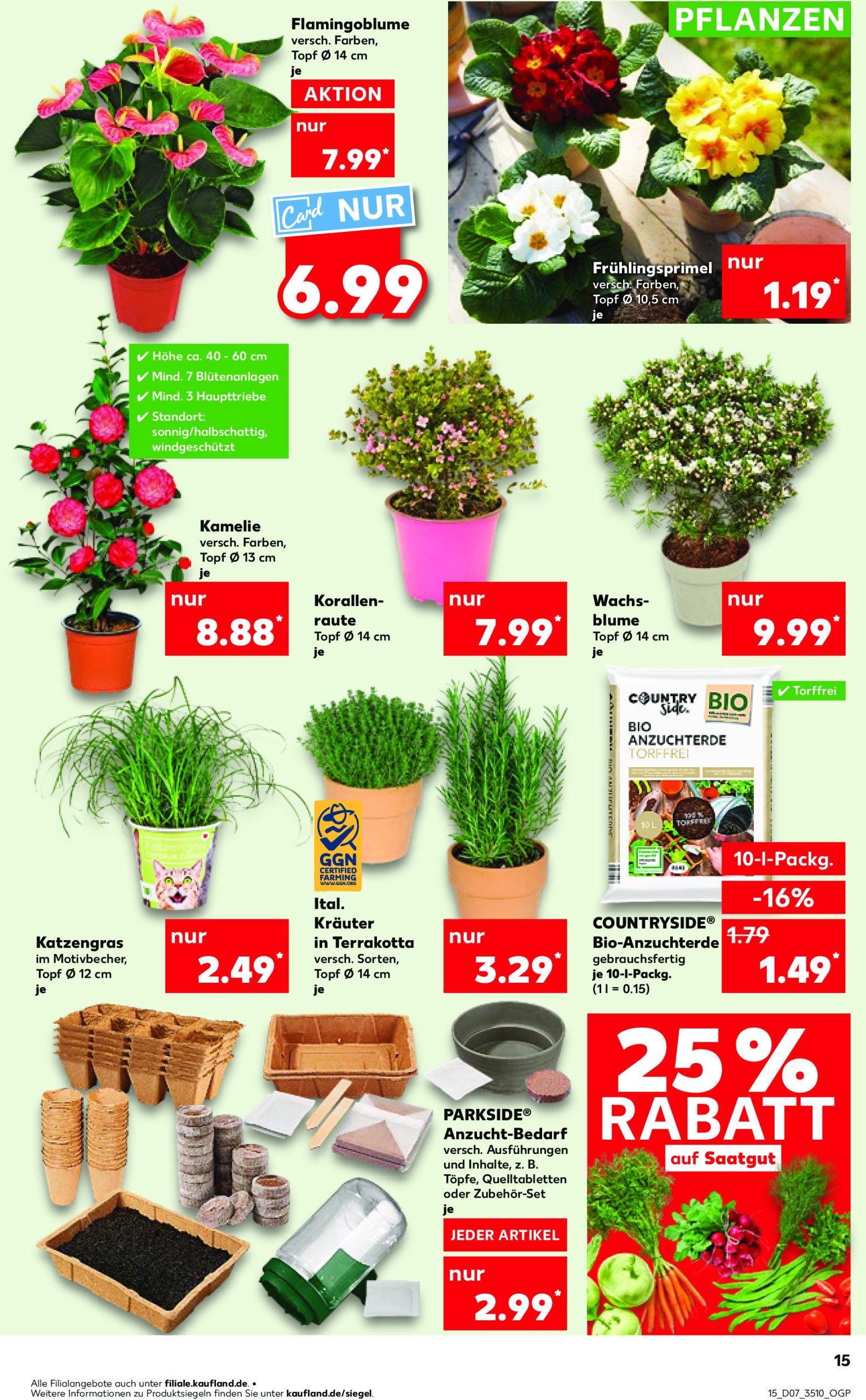 kaufland - Kaufland-Prospekt gültig von 13.02. bis 19.02. - page: 15