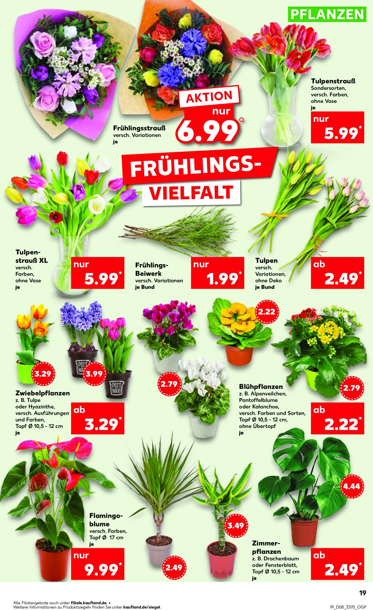 kaufland - Kaufland-Prospekt gültig von 20.02. bis 26.02. - page: 19