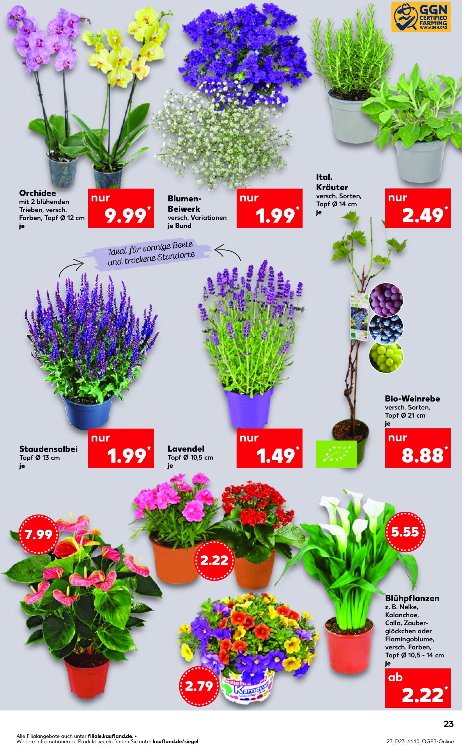 kaufland - Kaufland-Prospekt gültig von 05.06. bis 11.06. - page: 19 kaufland - Kaufland-Prospekt gültig von 05.06. bis 11.06. - page: 19
