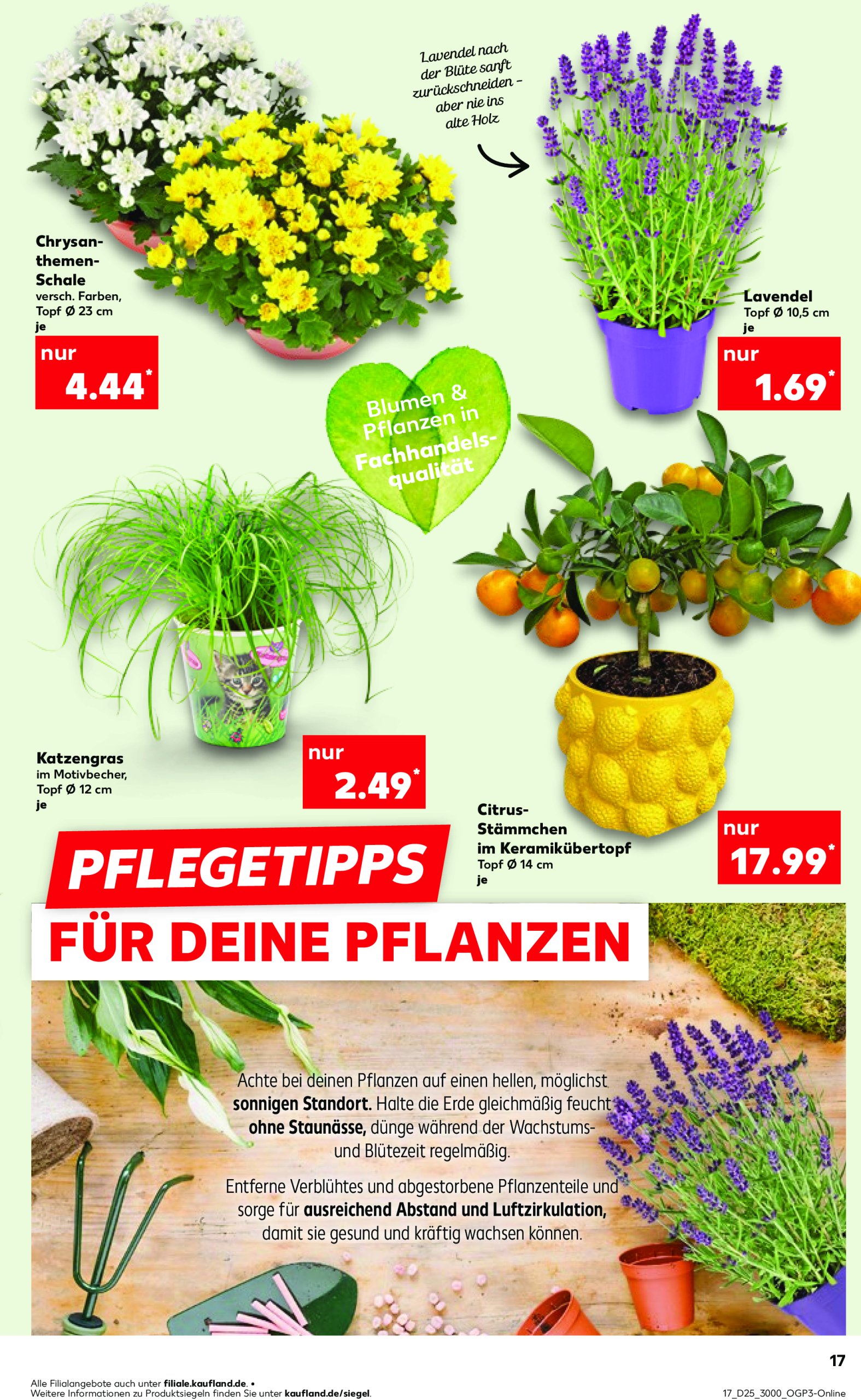 kaufland - Kaufland-Prospekt gültig vom 20.06. bis 25.06. - page: 17 kaufland - Kaufland-Prospekt gültig vom 20.06. bis 25.06. - page: 17