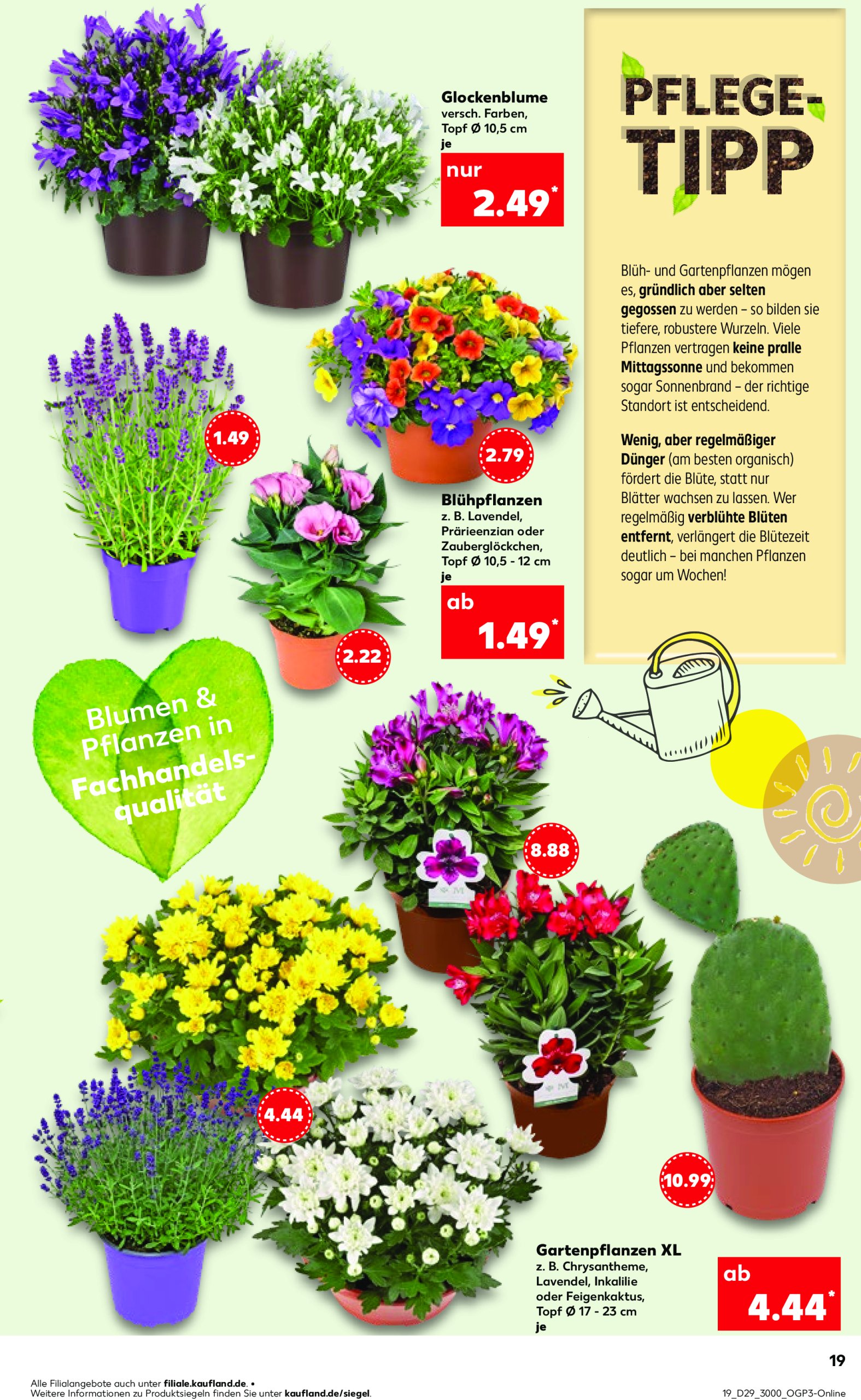 kaufland - Kaufland-Prospekt gültig vom 17.07. bis 23.07. - page: 19