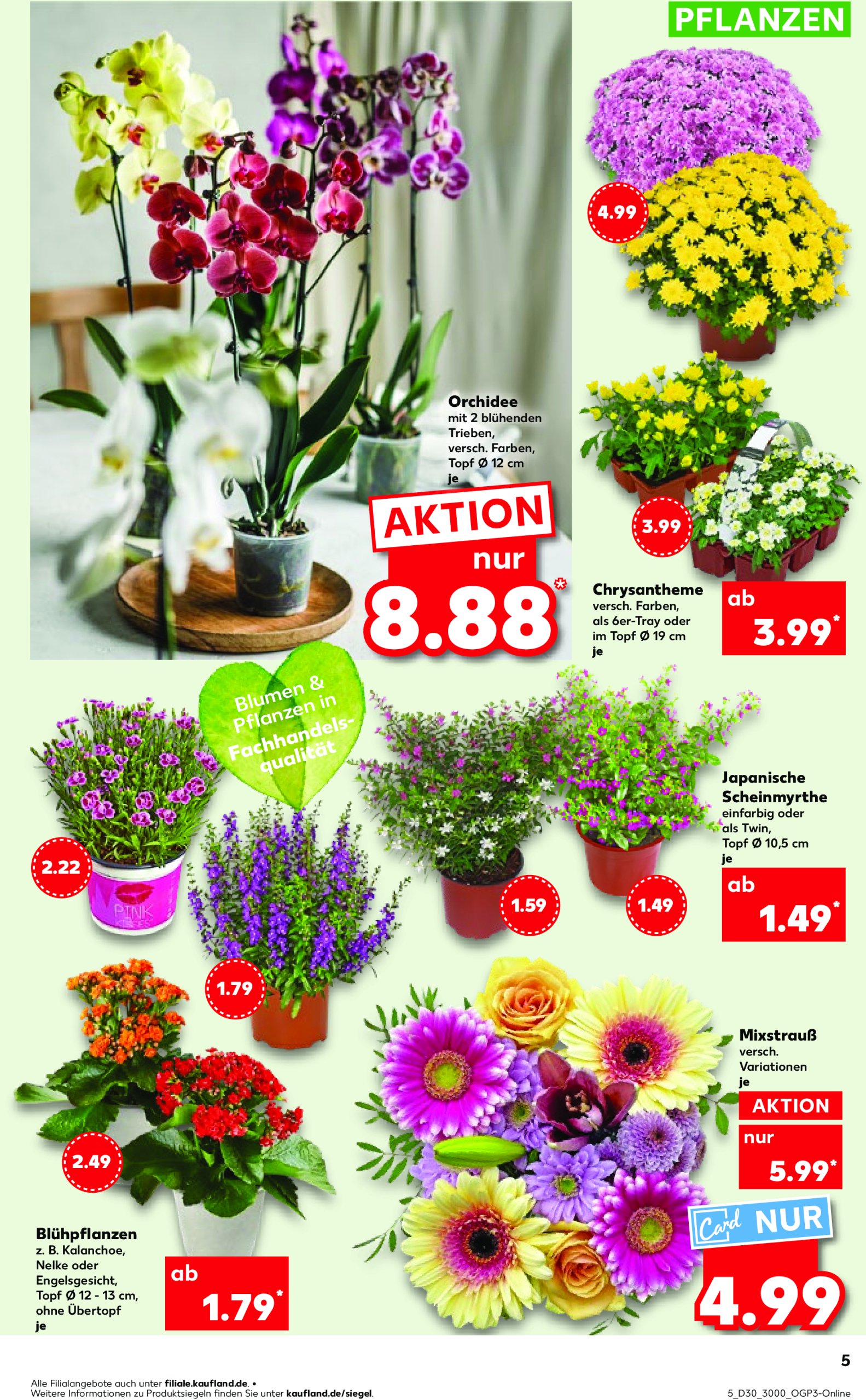 kaufland - Kaufland-Prospekt gültig vom 24.07. bis 30.07. - page: 5