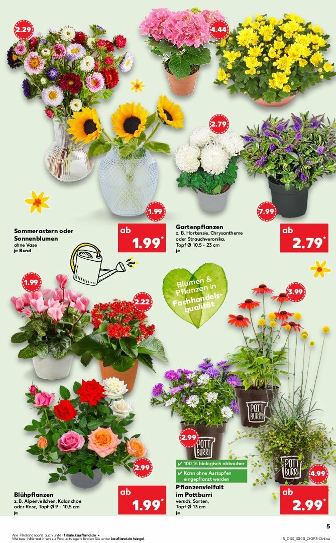 kaufland - Kaufland-Prospekt gültig vom 14.08. bis 20.08. - page: 5