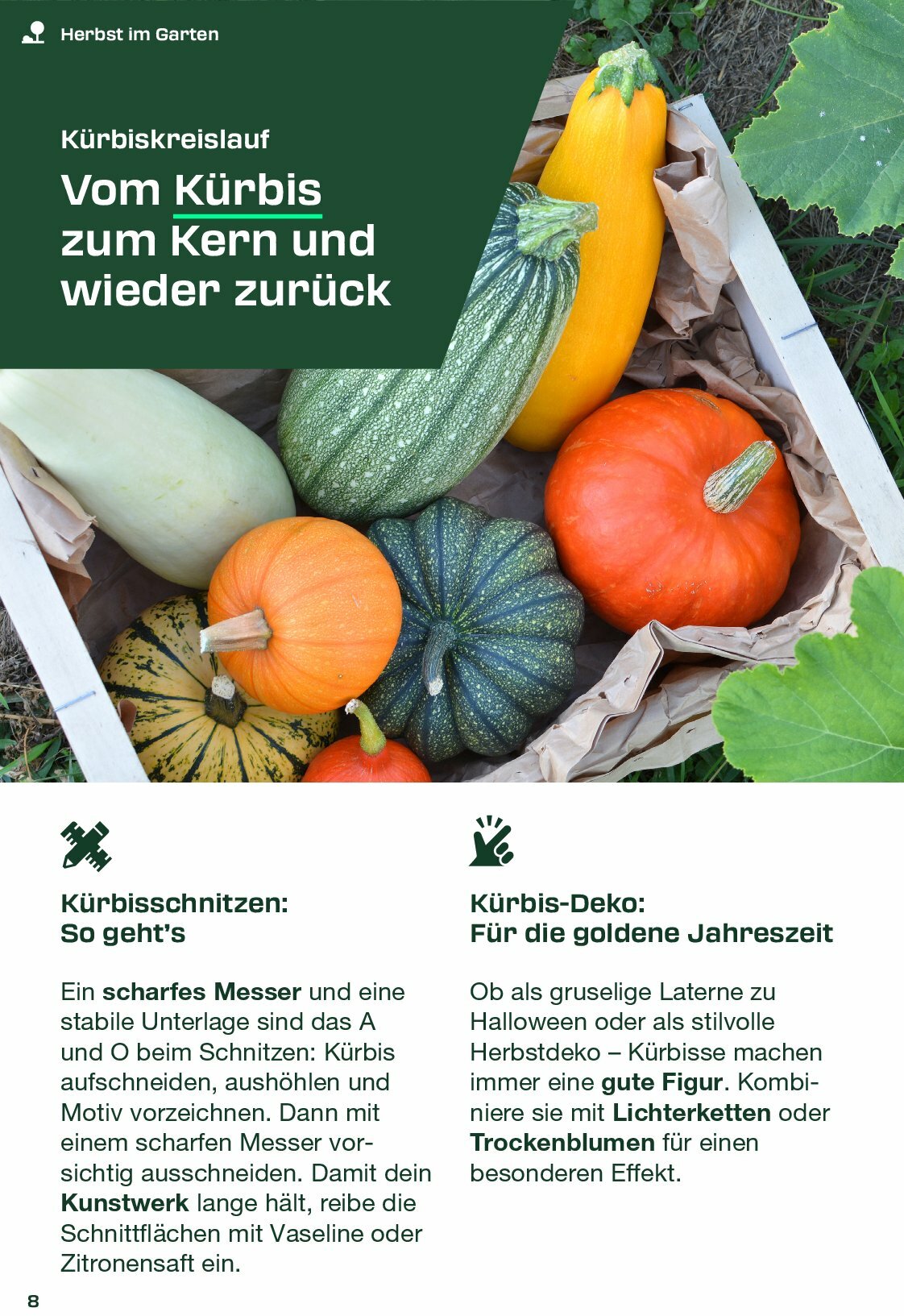 kaufland - Kaufland - Parkside-Prospekt gültig vom 01.09. bis 30.11. - page: 8