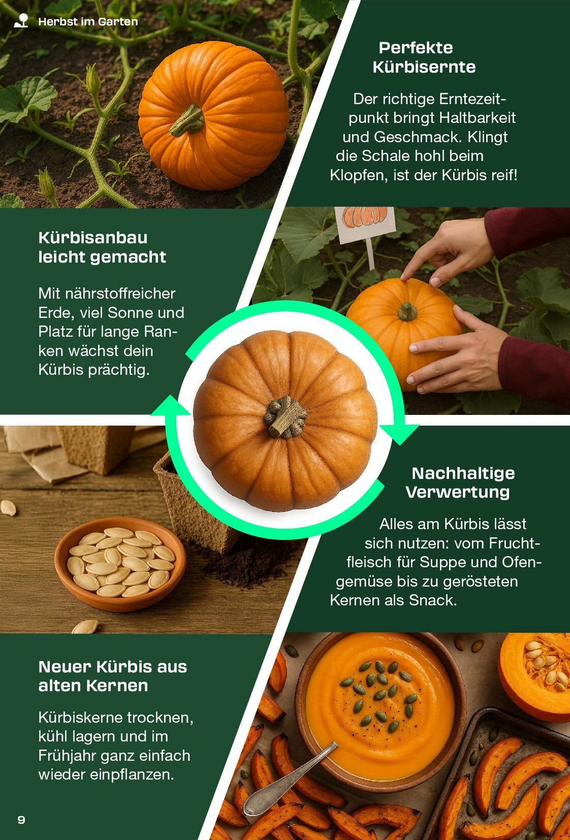 kaufland - Kaufland - Parkside-Prospekt gültig vom 01.09. bis 30.11. - page: 9