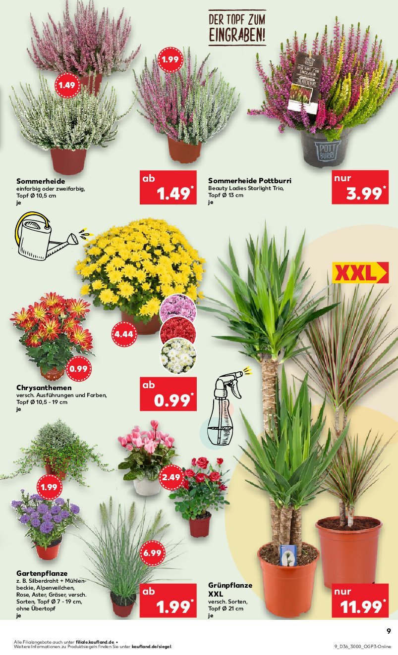 kaufland - Kaufland-Prospekt gültig vom 07.09. bis 10.09. - page: 9 kaufland - Kaufland-Prospekt gültig vom 07.09. bis 10.09. - page: 9